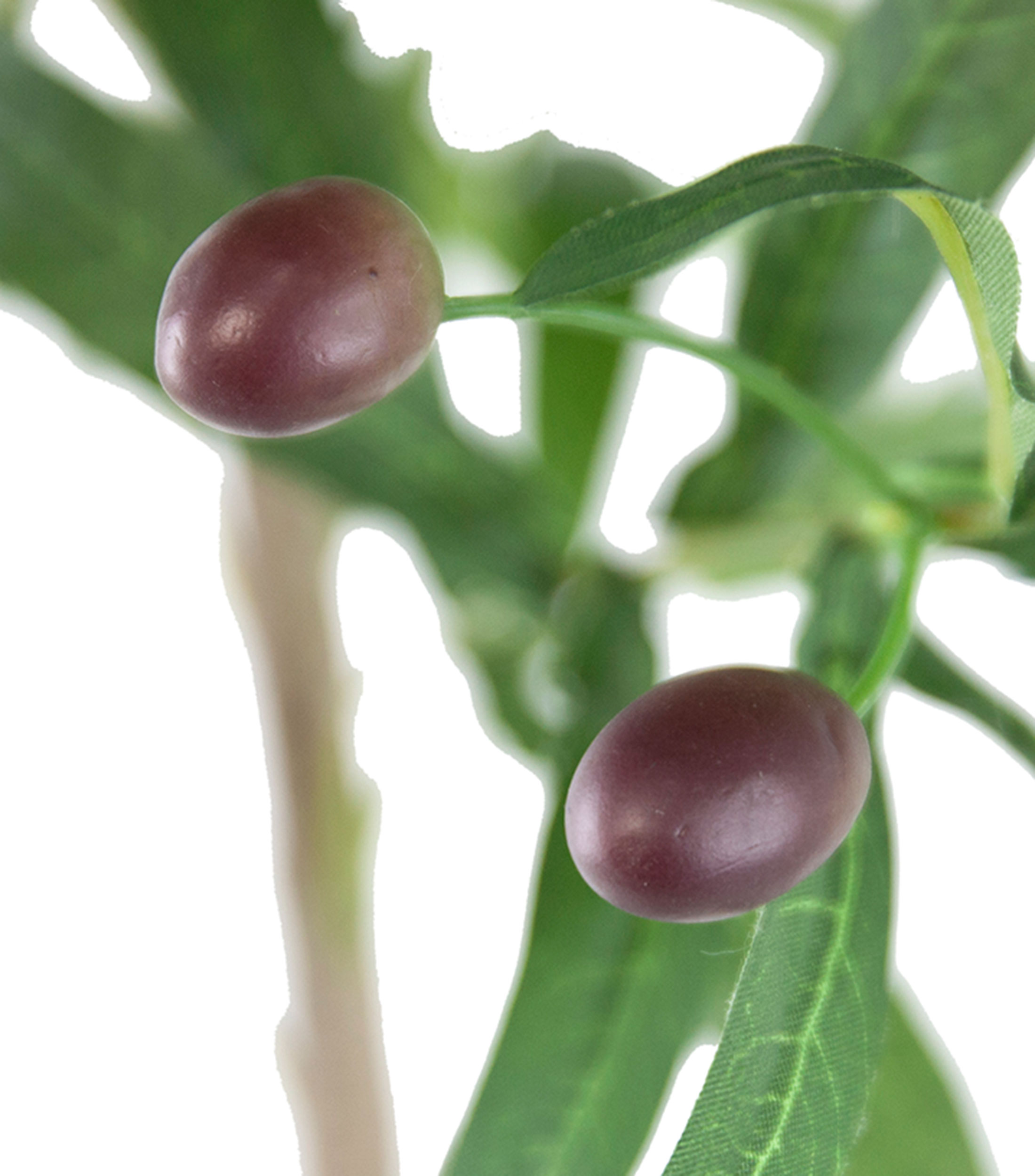 Árbol Olivo Fruta Artificial en plástico