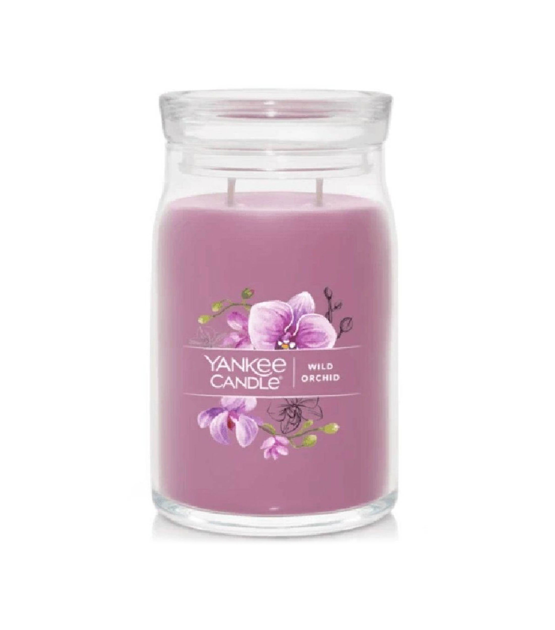 Vela Wild Orchid