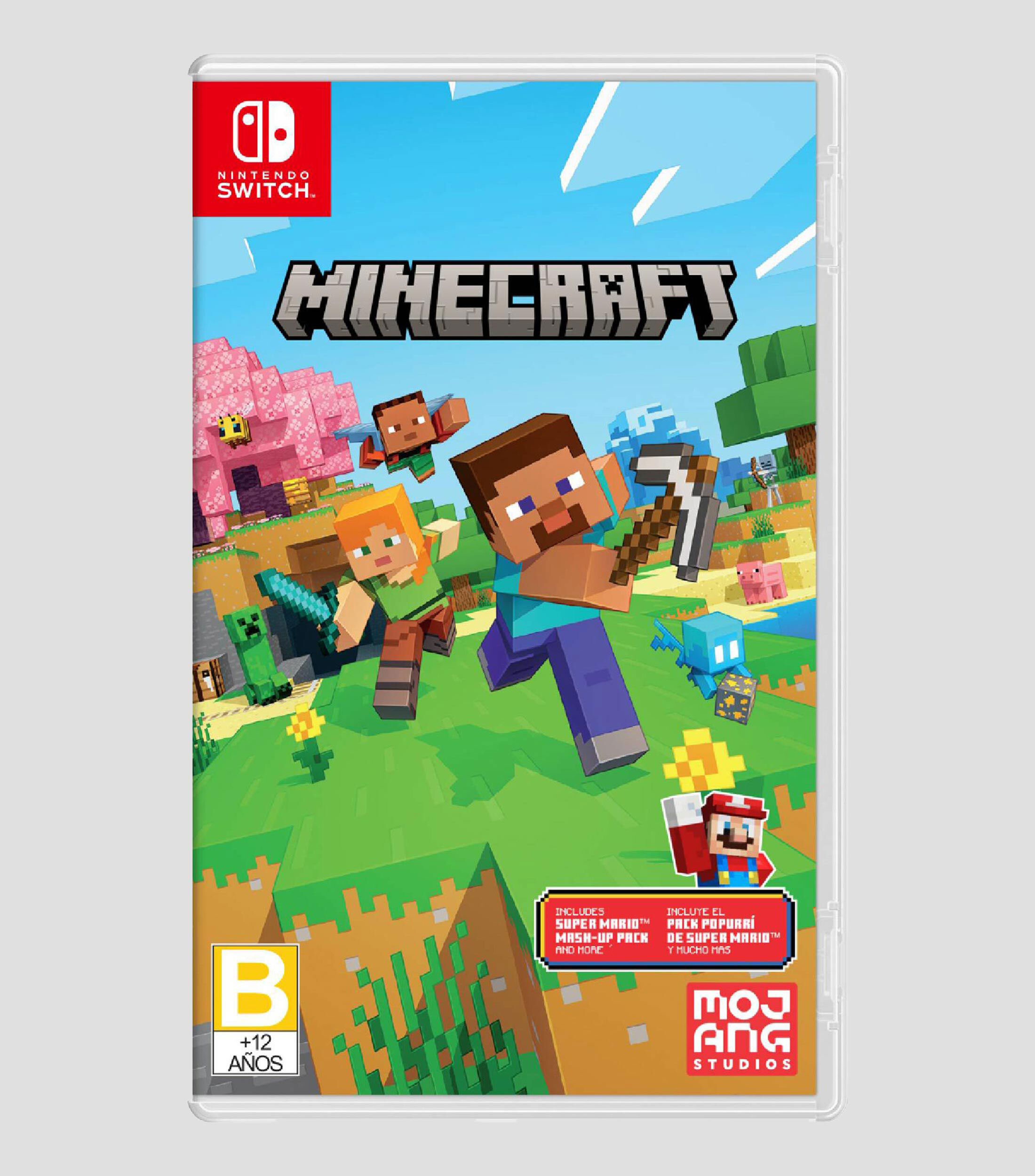 Minecraft Nintendo Switch