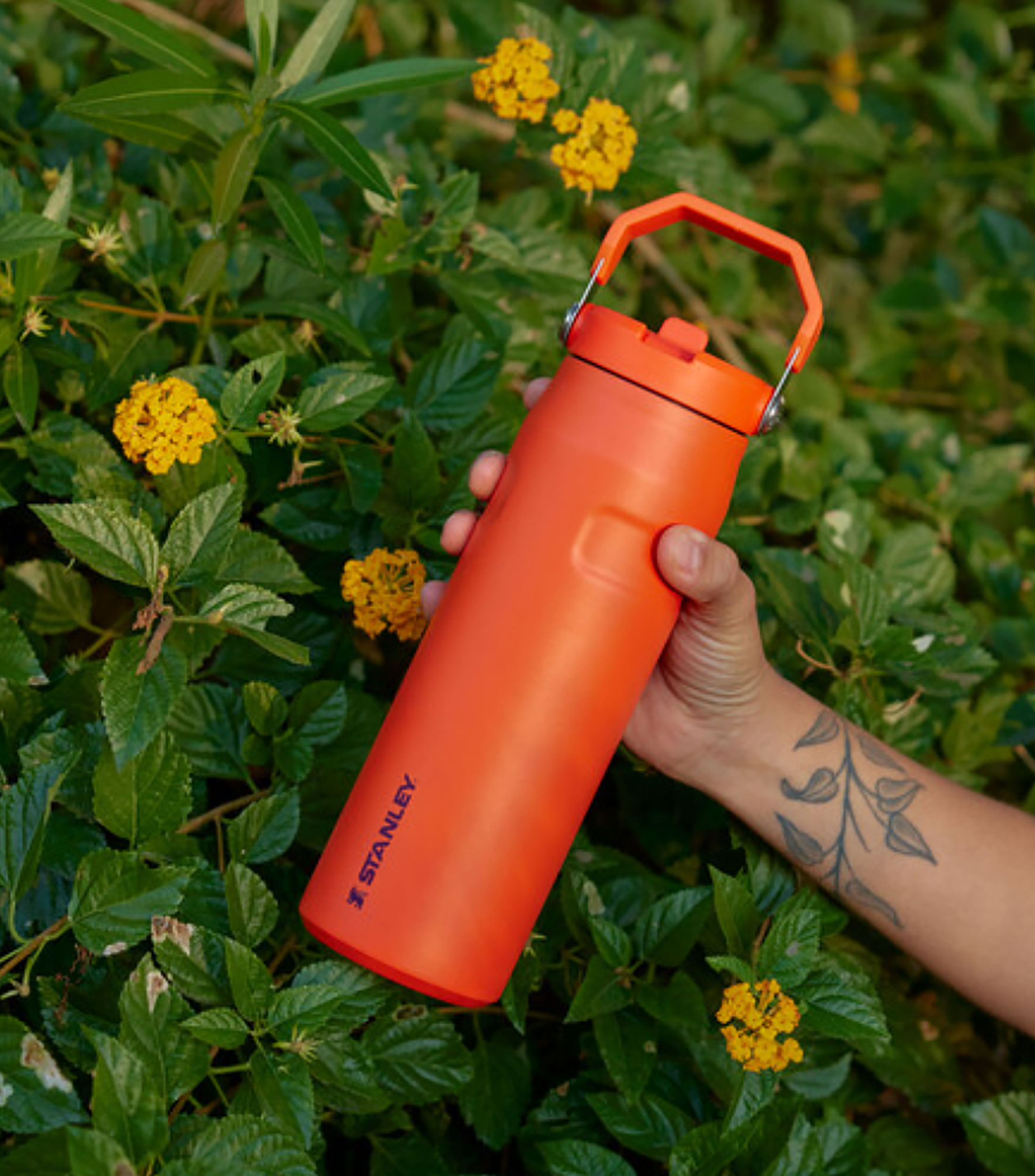 Termo Stanley IceFlow Aerolight Tigerlily Plum en acero inoxidable, 709 ml