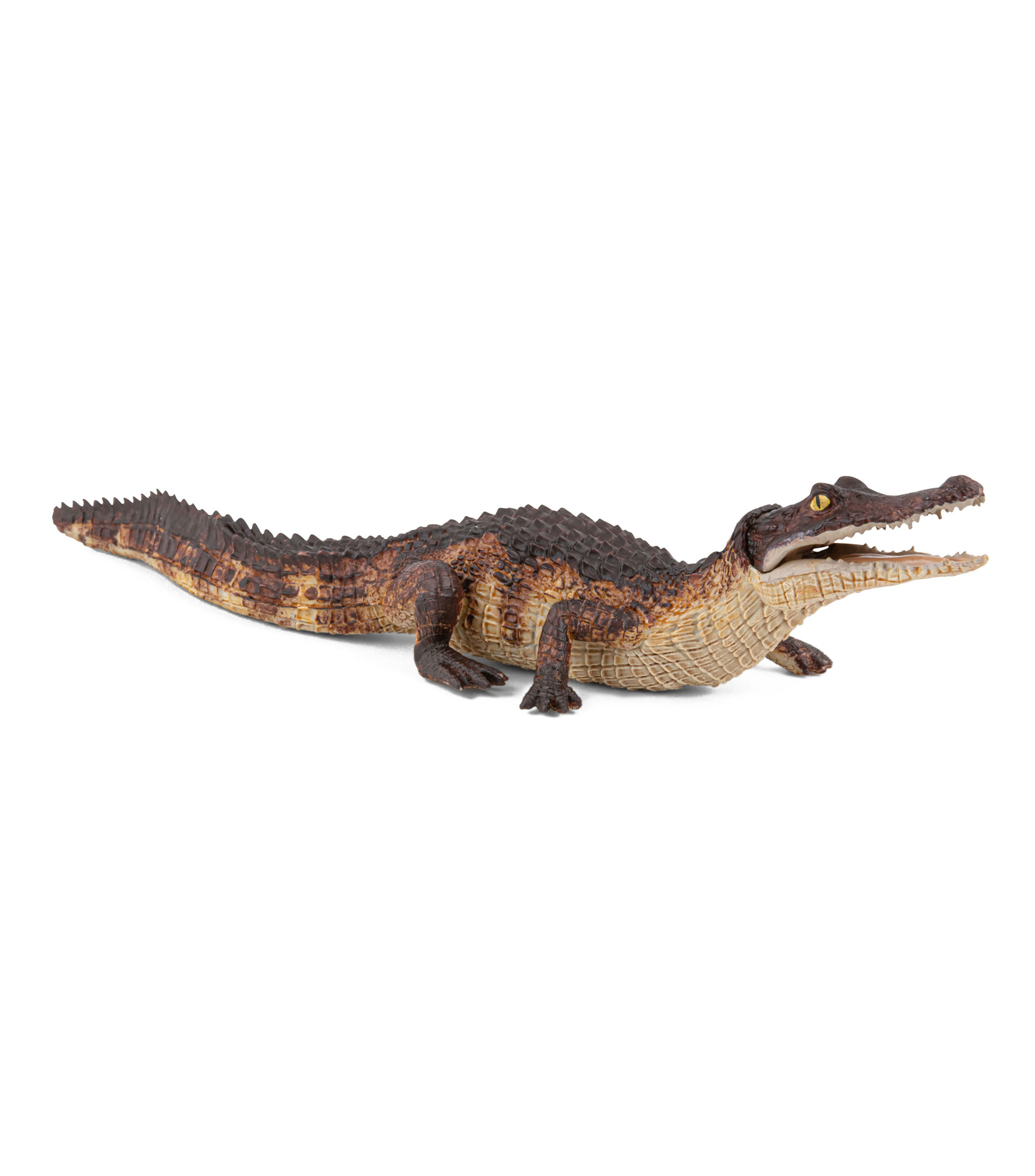 Figura de Caimán