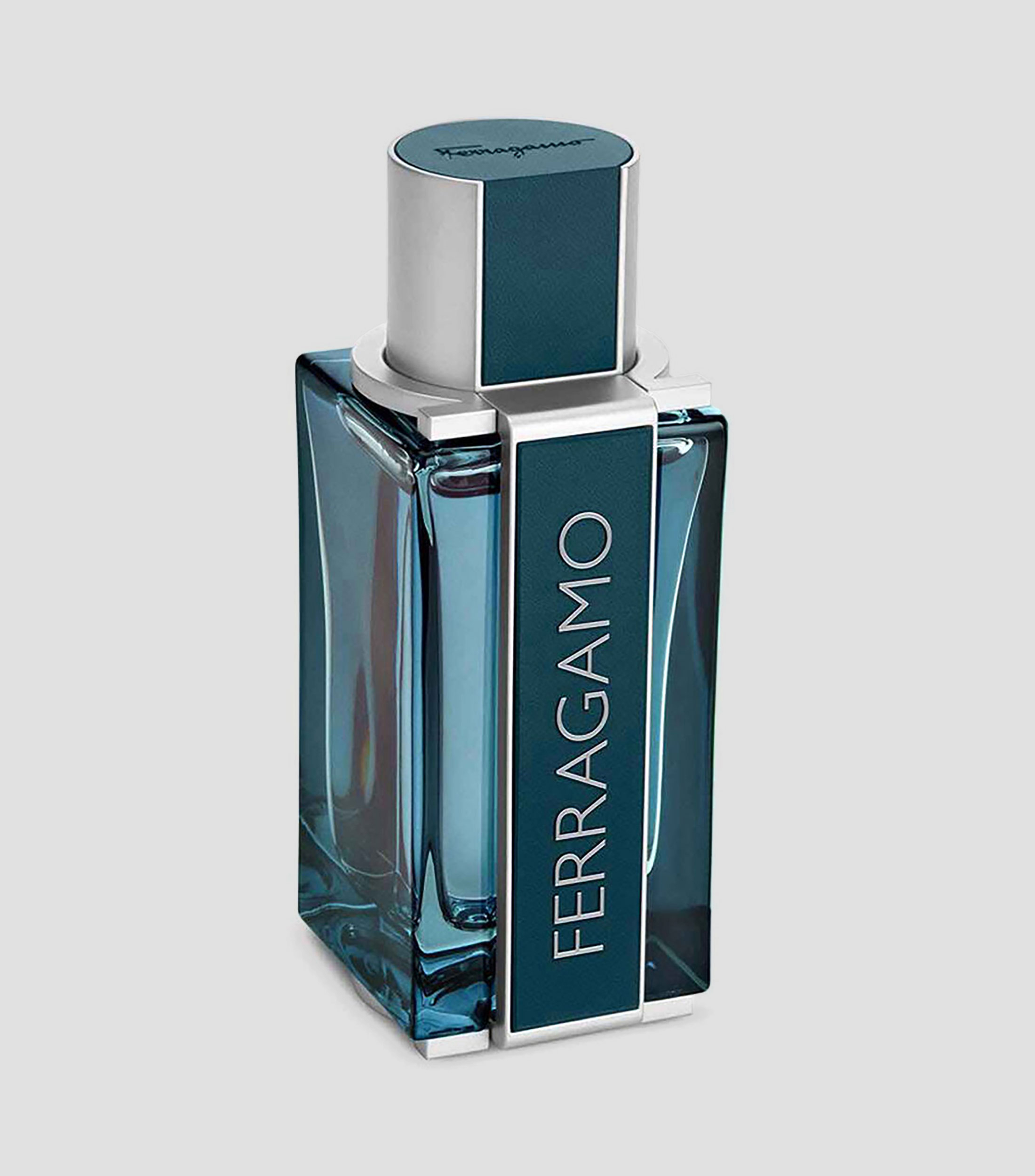 Perfume, Intense Leather Eau de Parfum, 100 ml Hombre