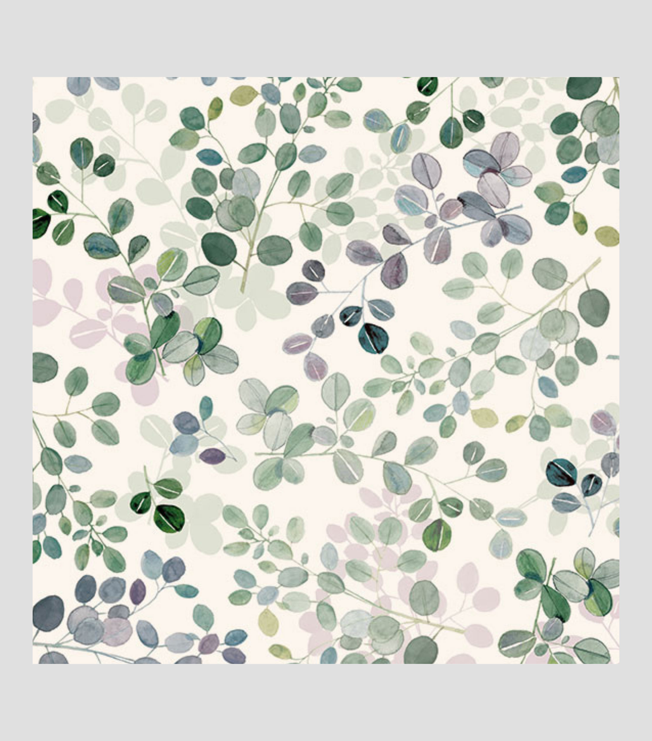 Pliego de papel Tassotti Hoja Eucalipto 50 x 70 cm