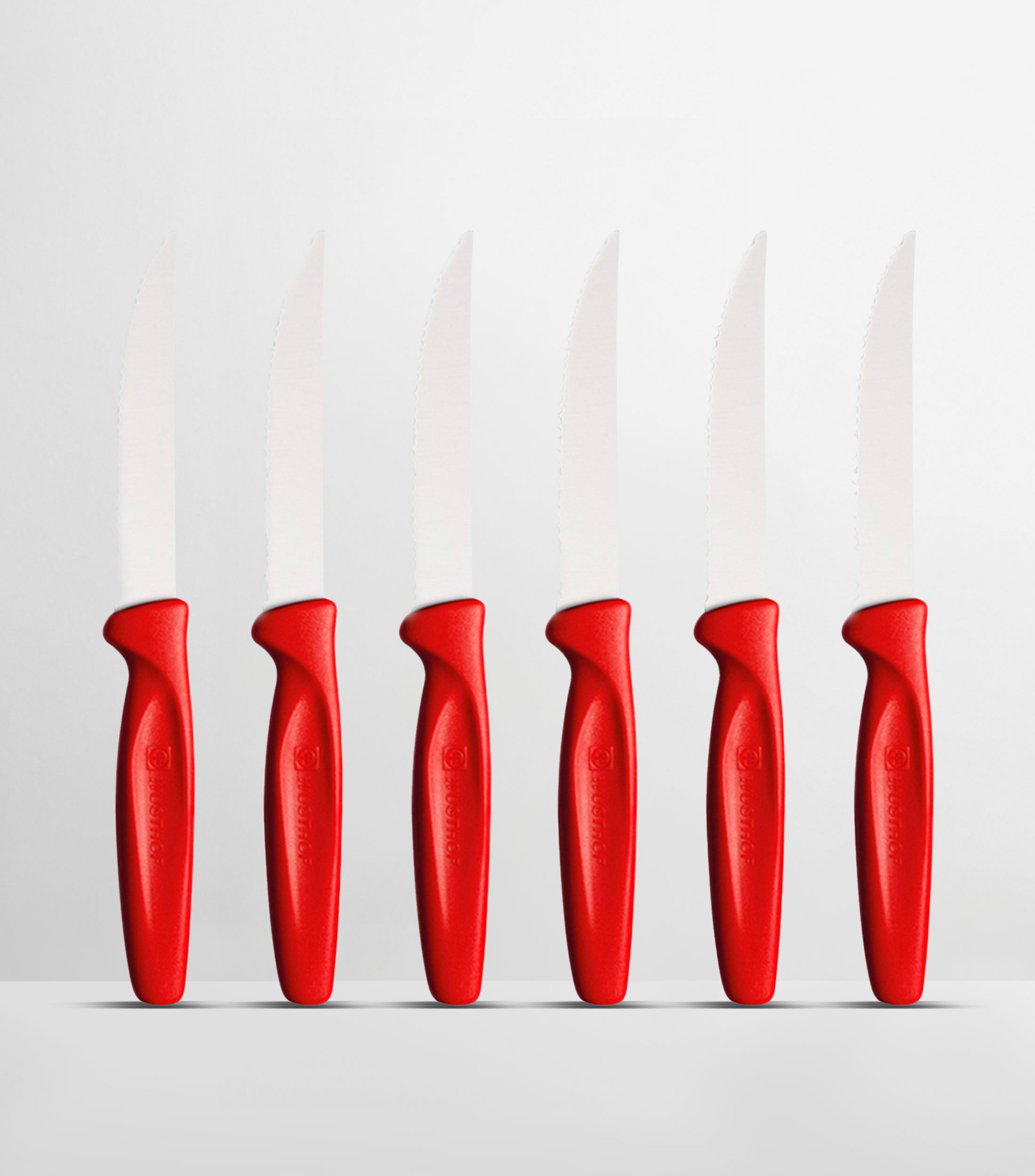 Set de Cuchillos 6 piezas