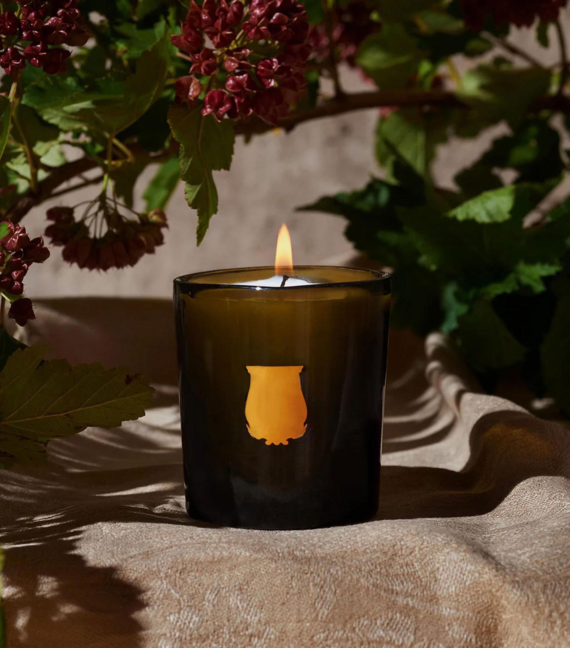 Vela Aromática Cyrnos