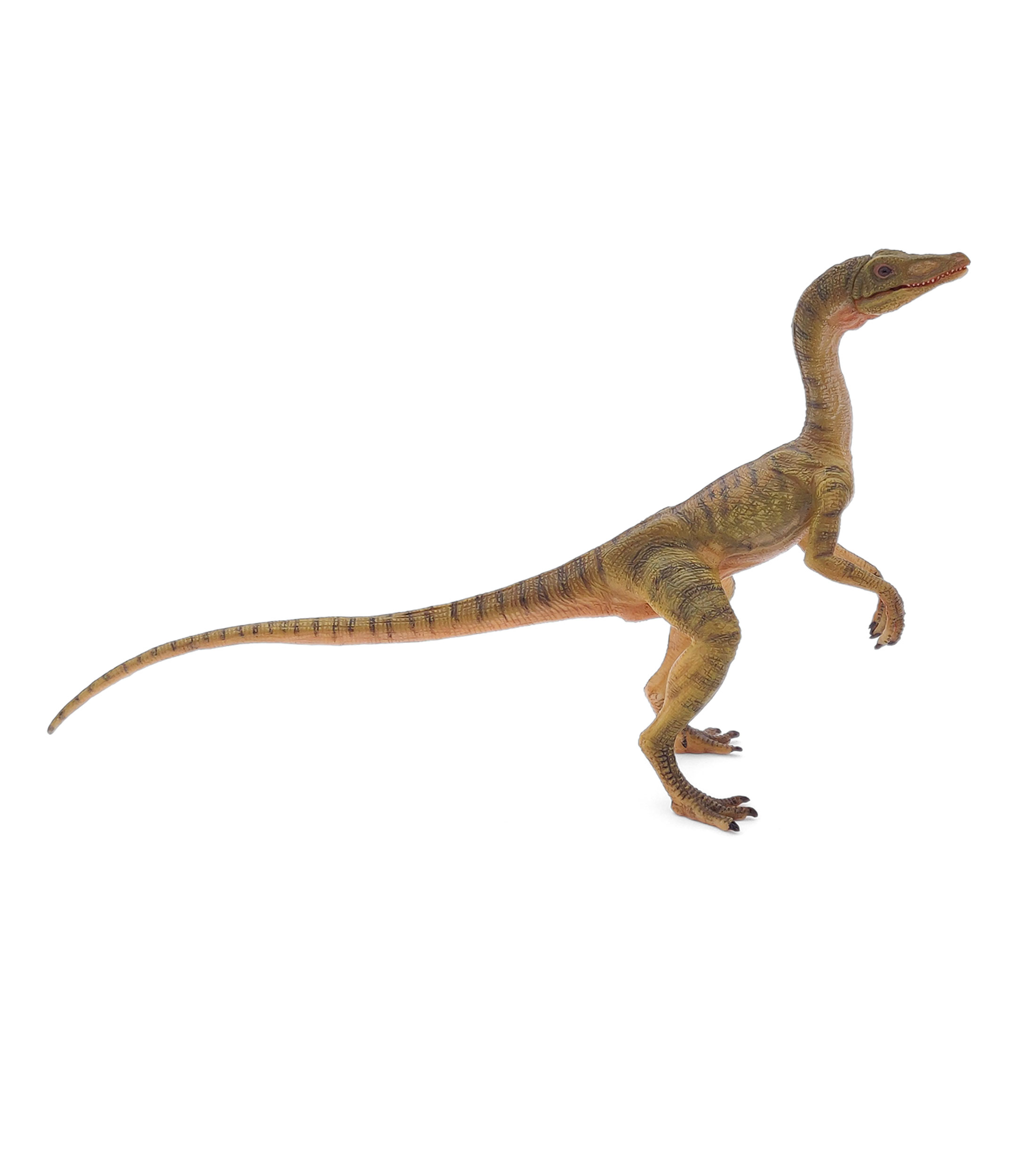 Compsognathus