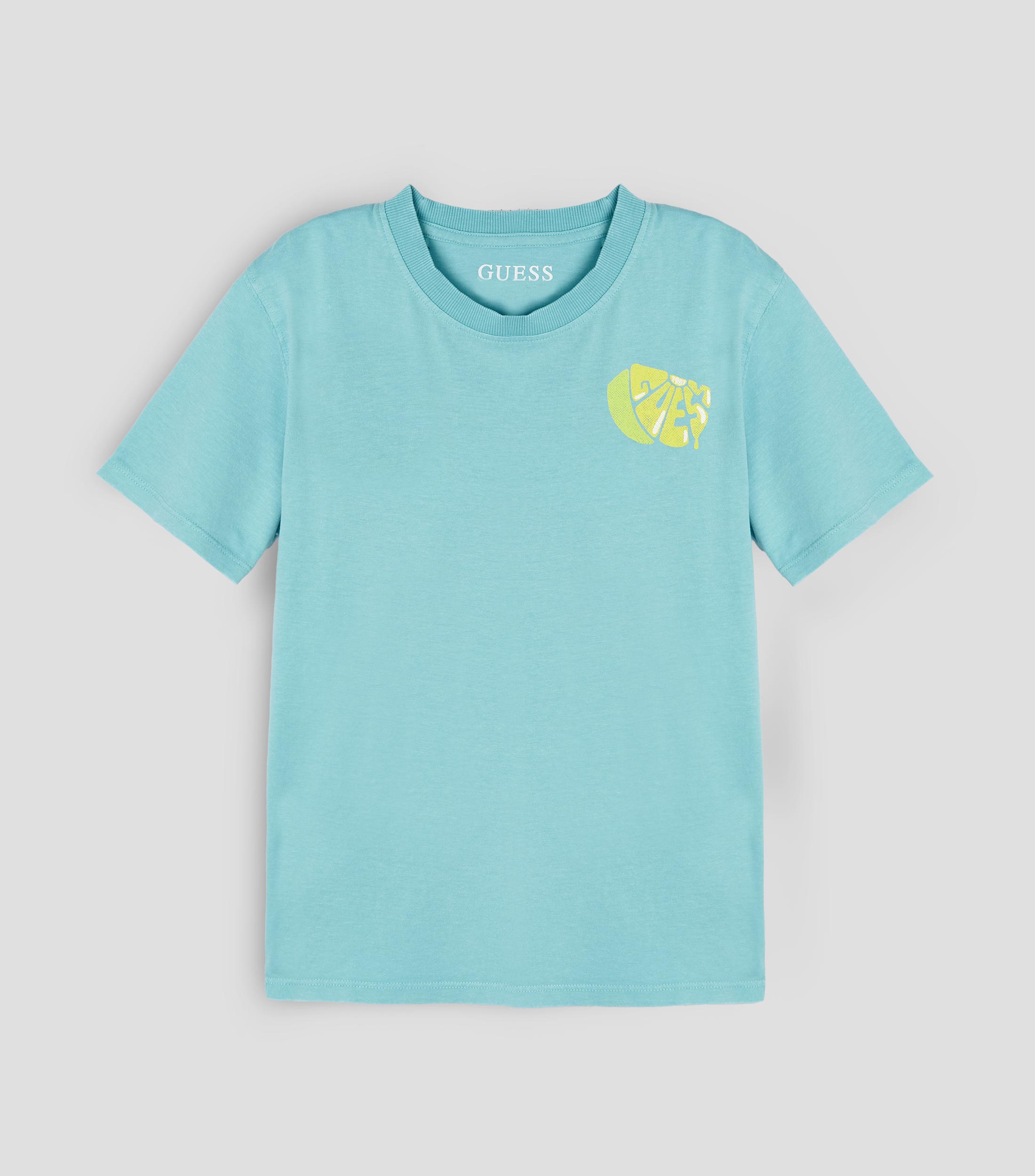Playera cuello redondo manga corta estampada Niño