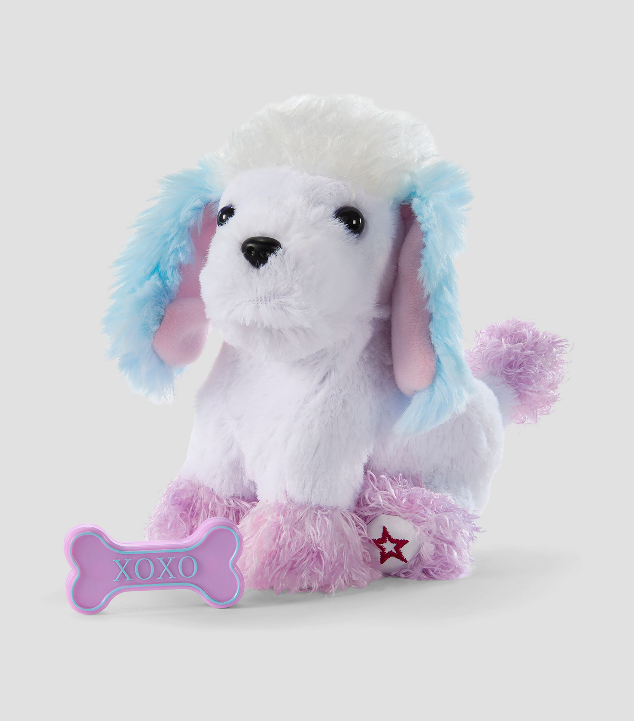 Tropical Taffy Poodle