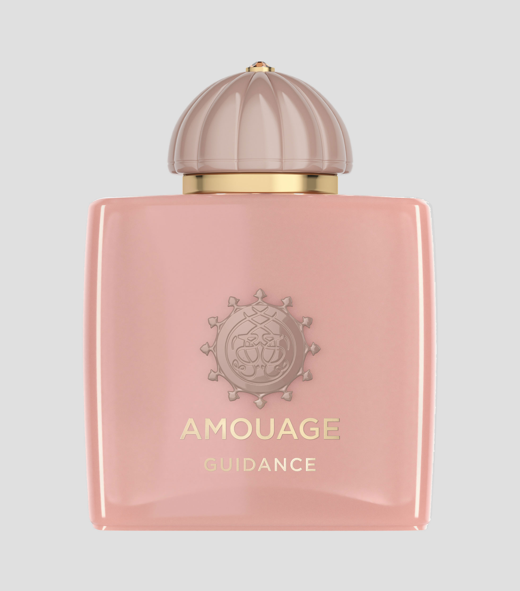 Perfume Guidance Eau de Parfum, 100 ml Unisex