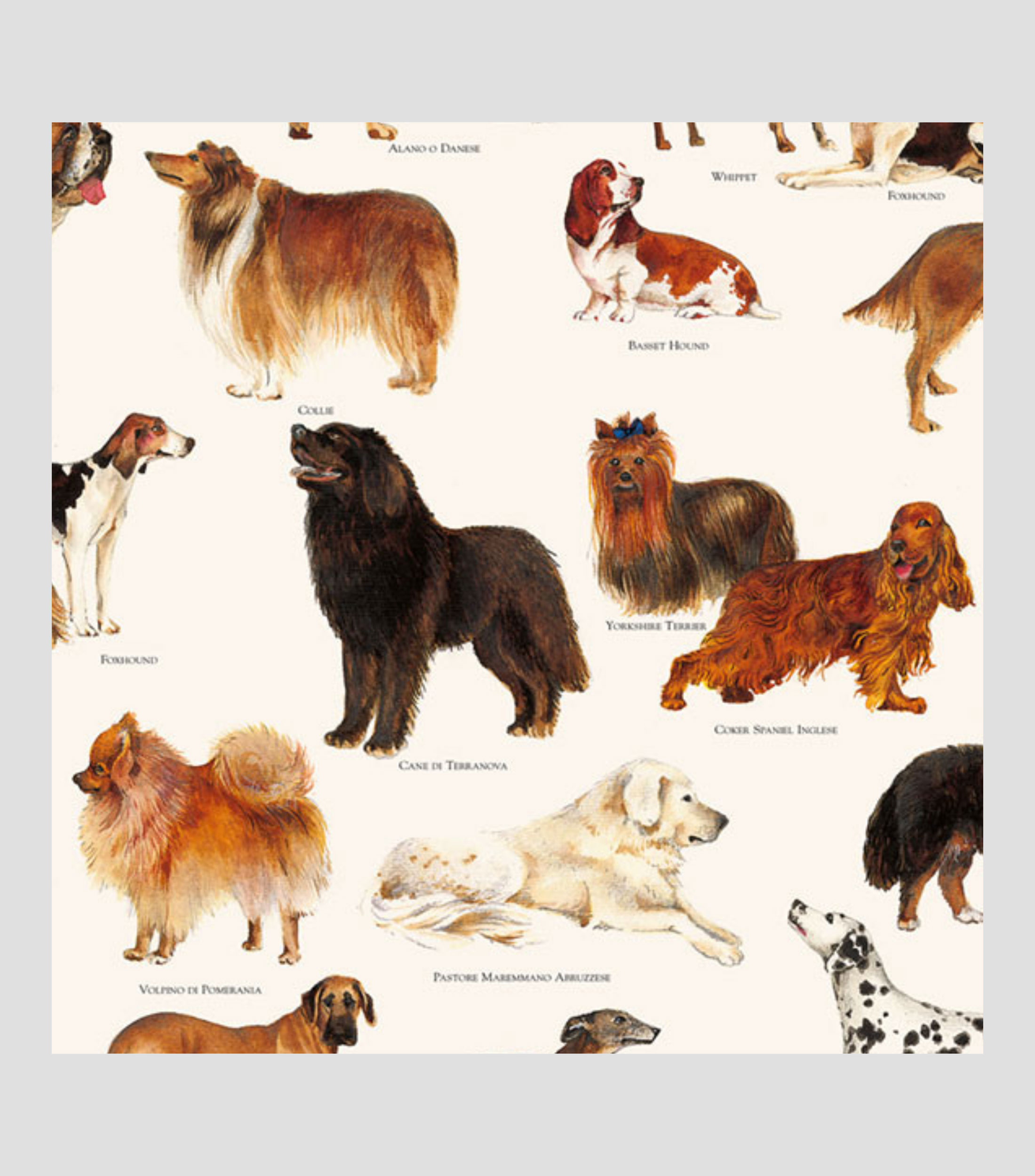 Pliego de papel Tassotti Perros 50 x 70 cm