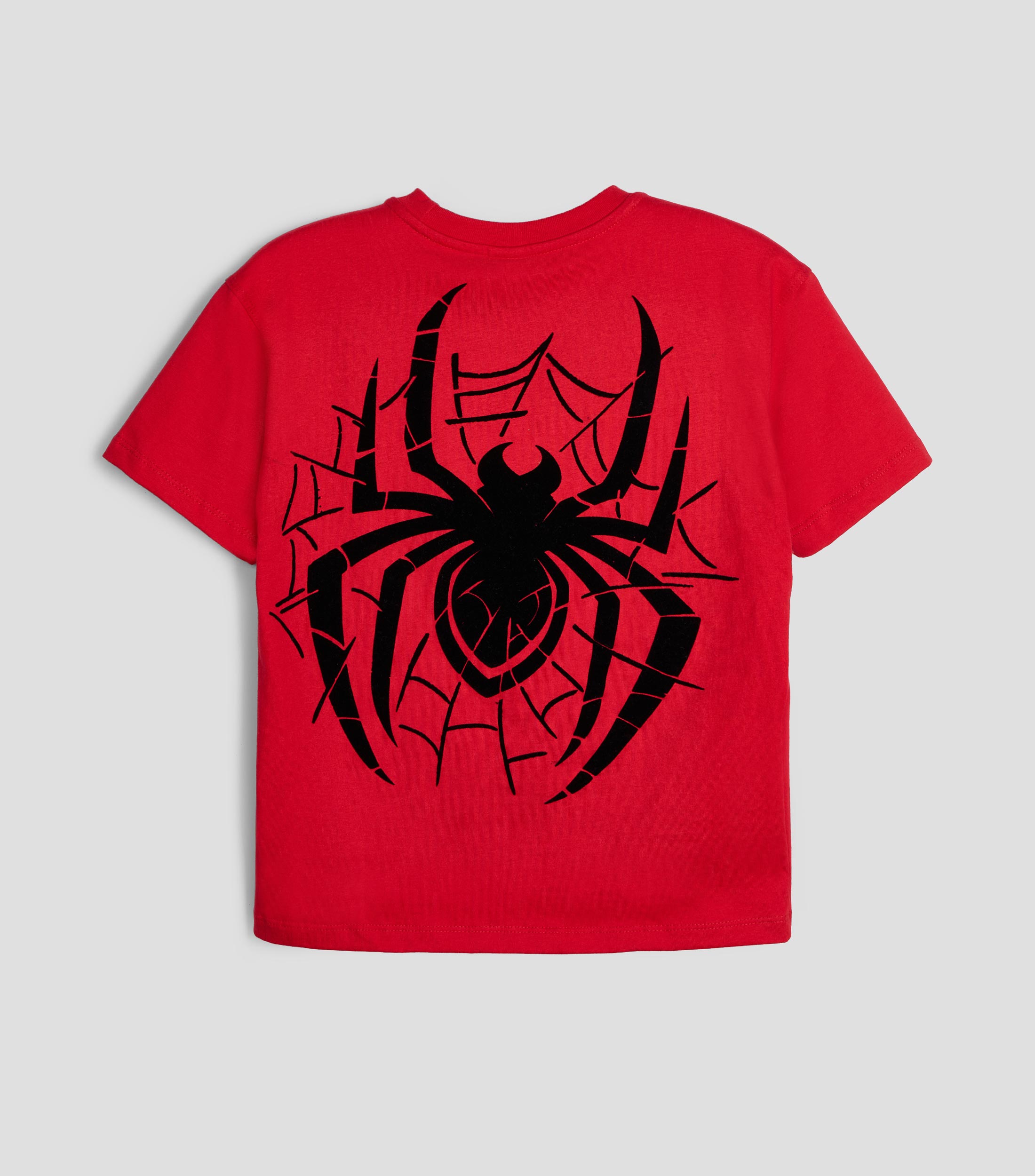 Playera cuello redondo manga corta estampada Niño