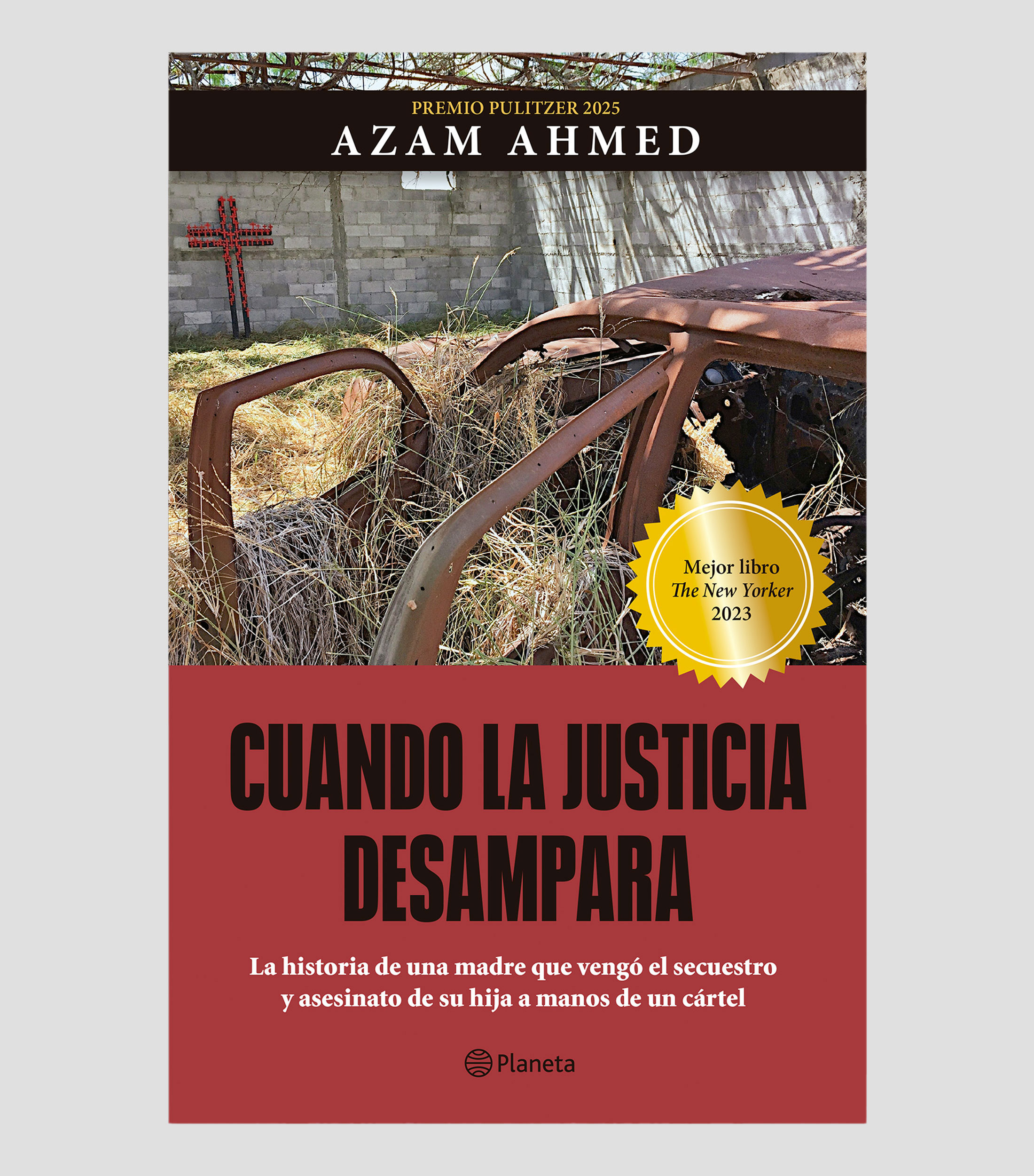 Interés GeneralCuando la justicia desampara, Azam Ahmed