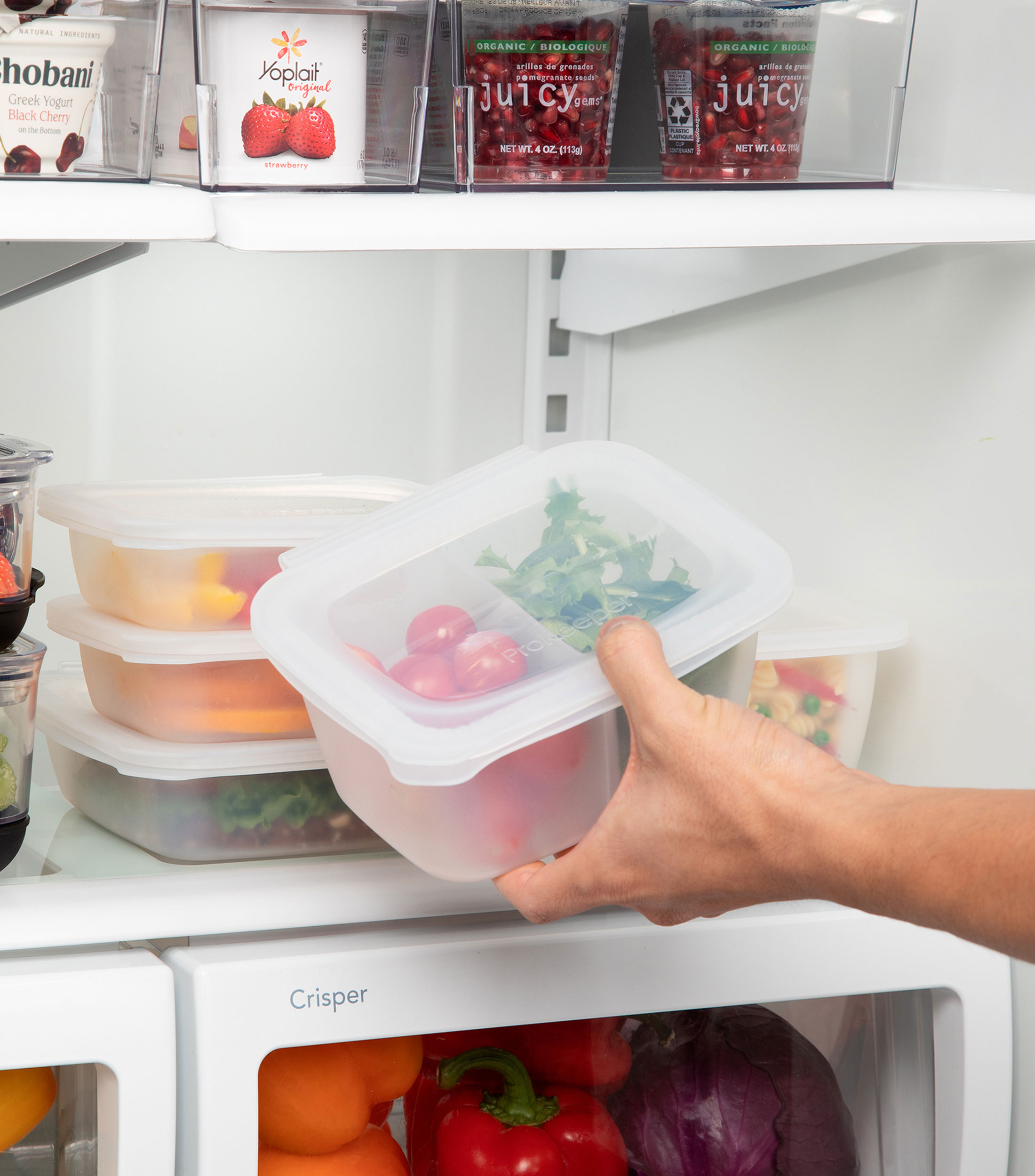 Contenedor para Alimentos con divisiones
