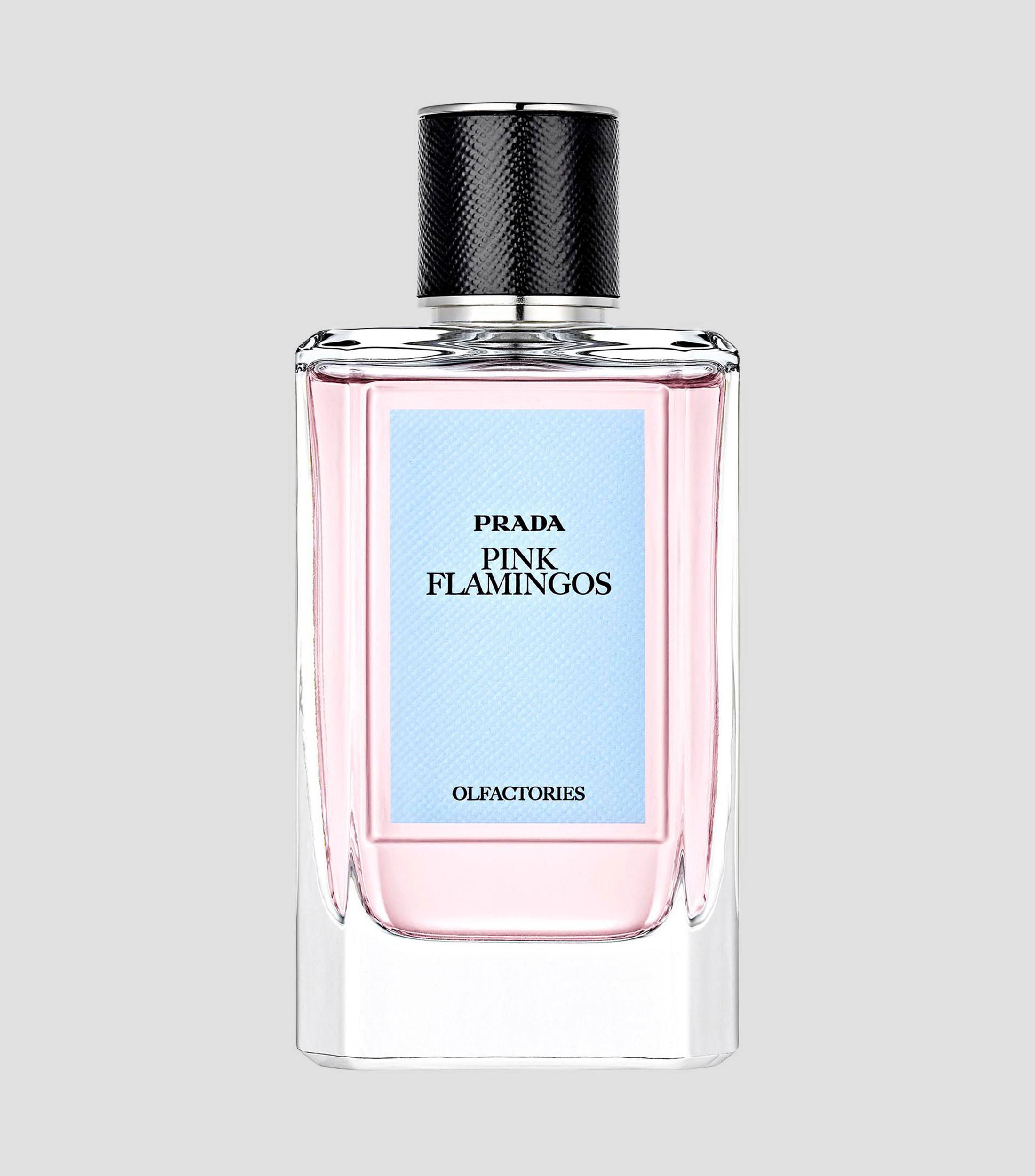 Perfume Pink Flamingos, Eau de Parfum 100 ml Unisex