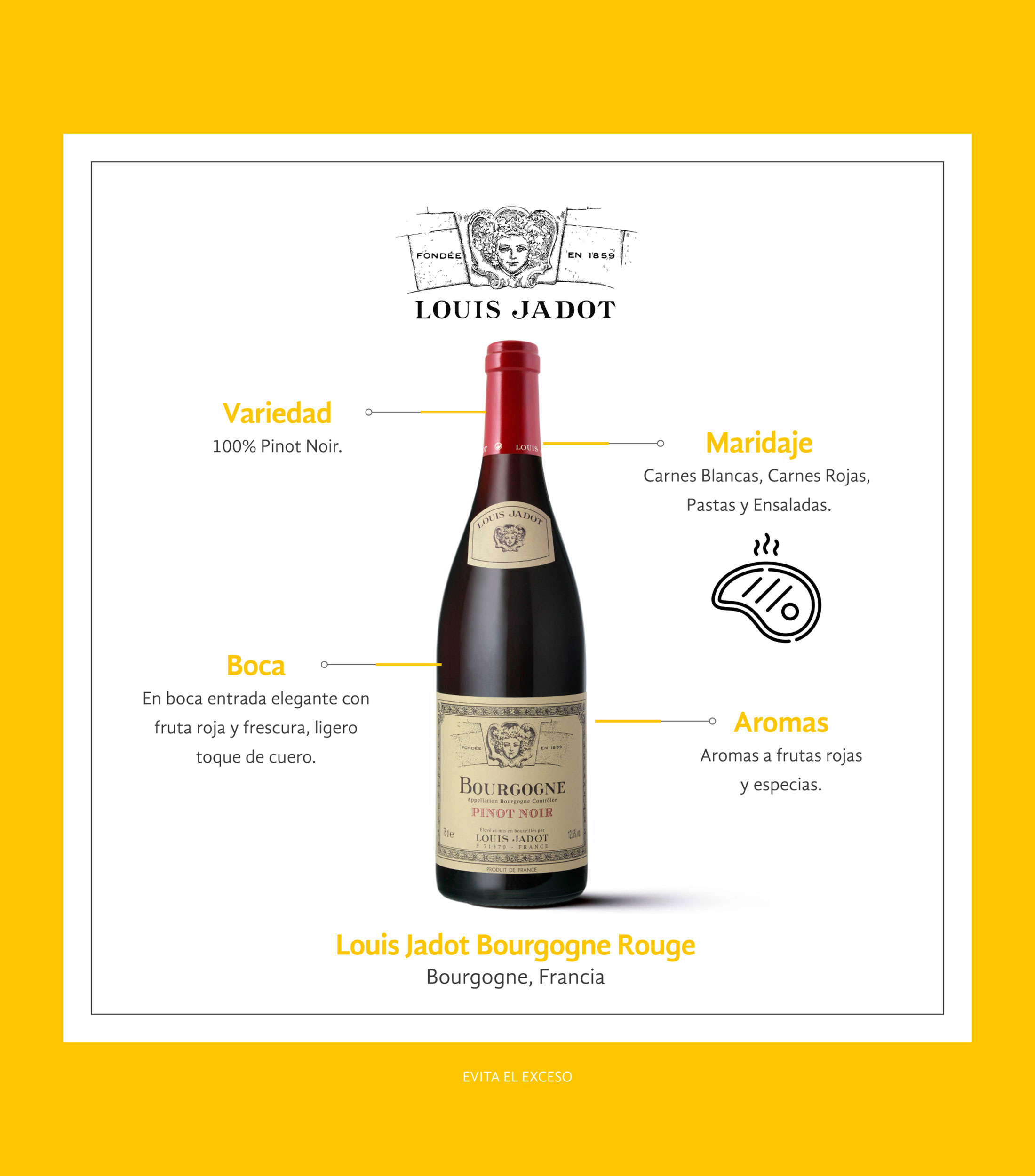 Vino Tinto Pinot Noir, Bourgogne, Francia, 750 ml