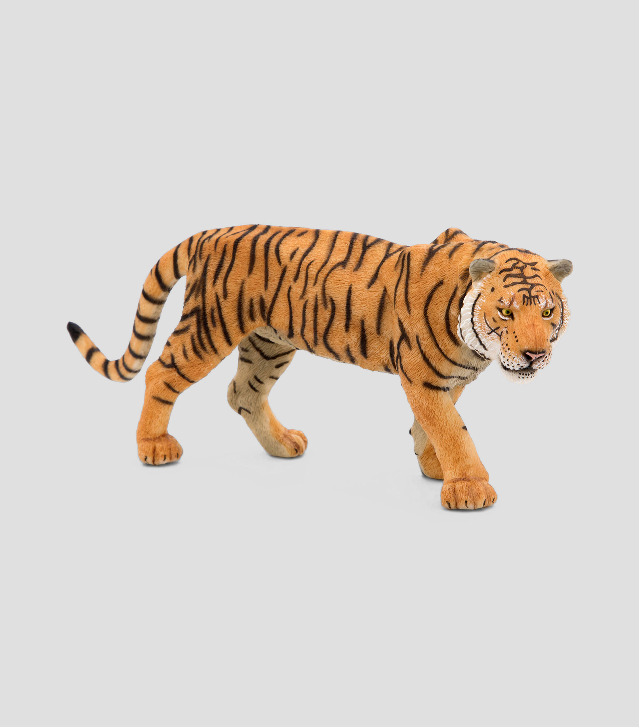 Tigre