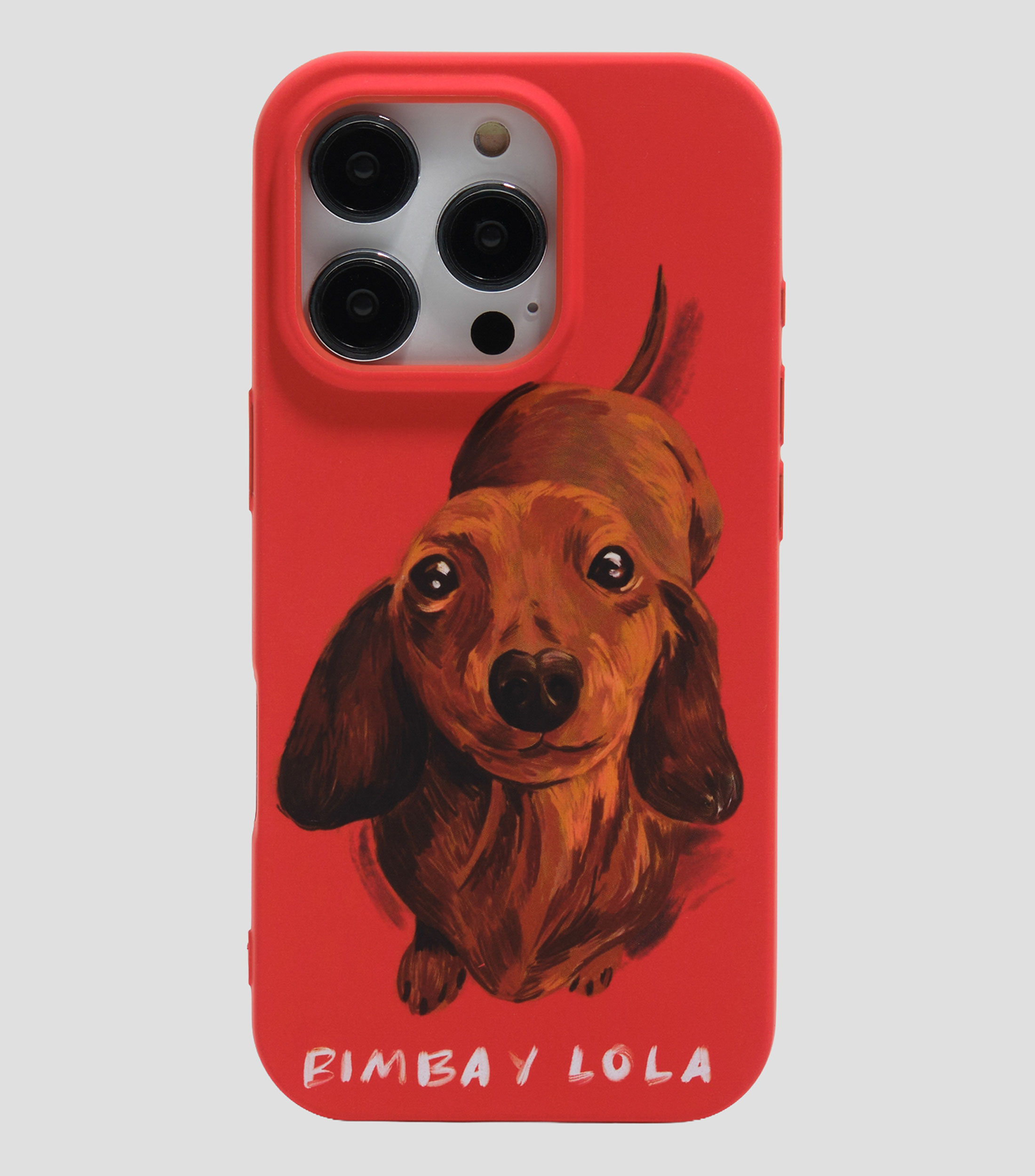 Funda rígida iPhone 16 Pro teckel roja