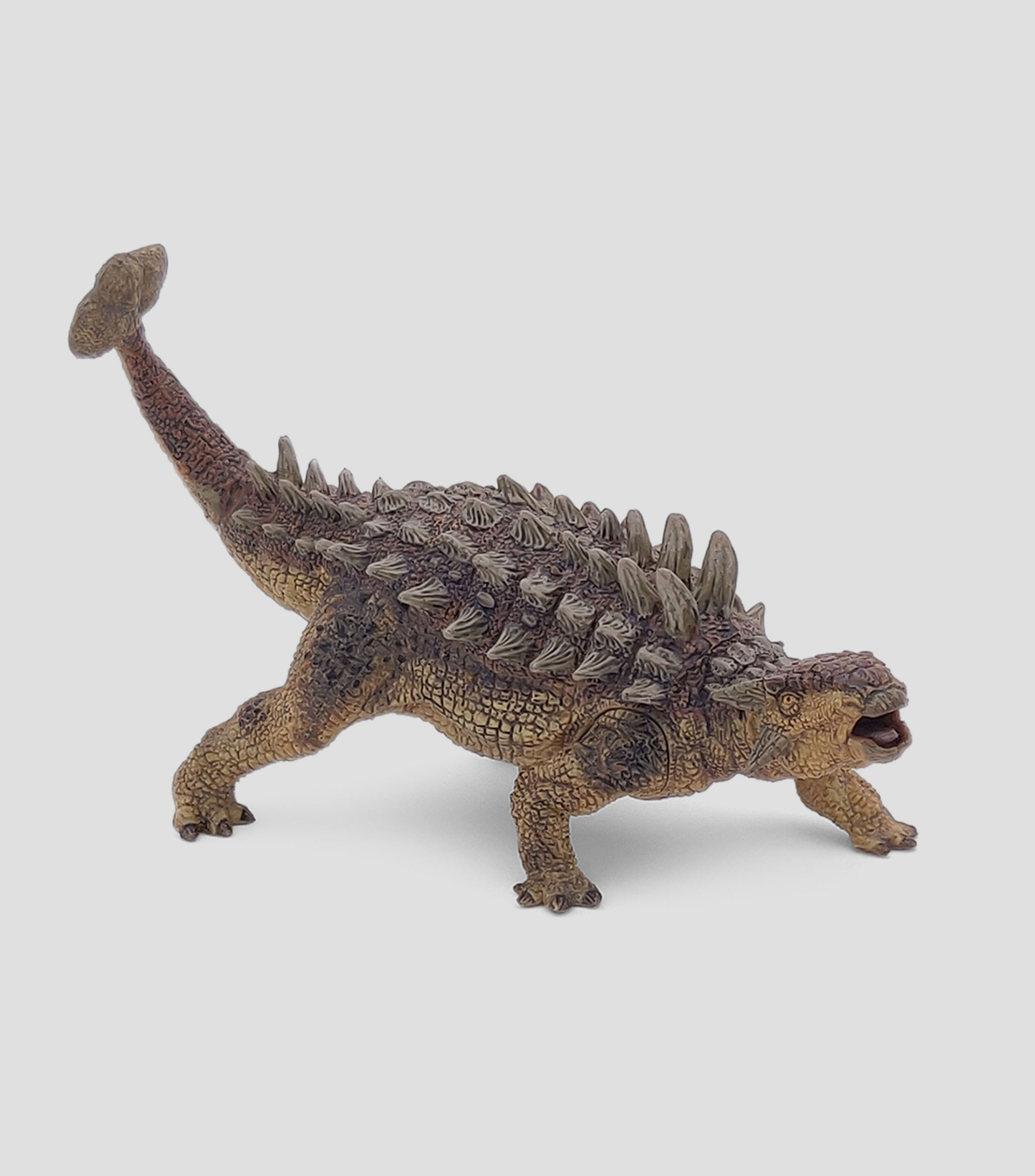 Ankylosaurus