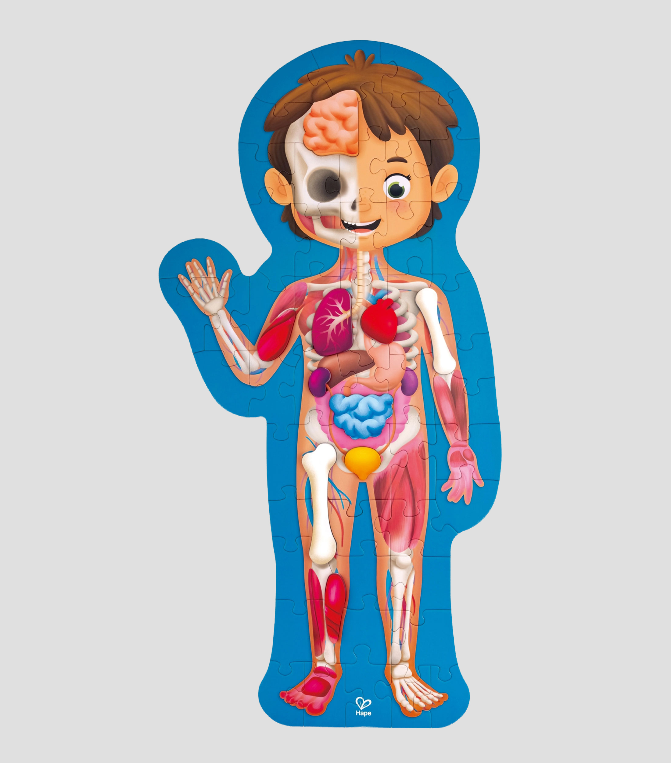 Hape Rompecabezas del cuerpo humano
