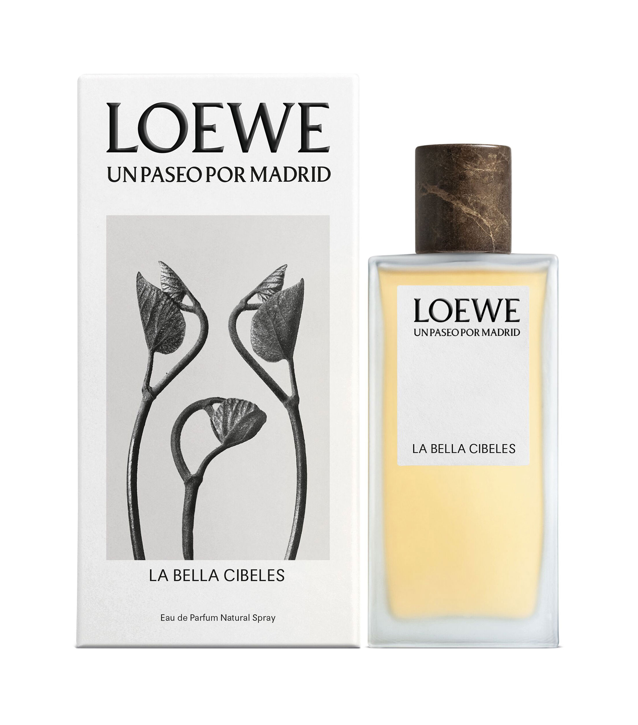 LOEWE UPPM BELLA CIBELES EDP 100 ML