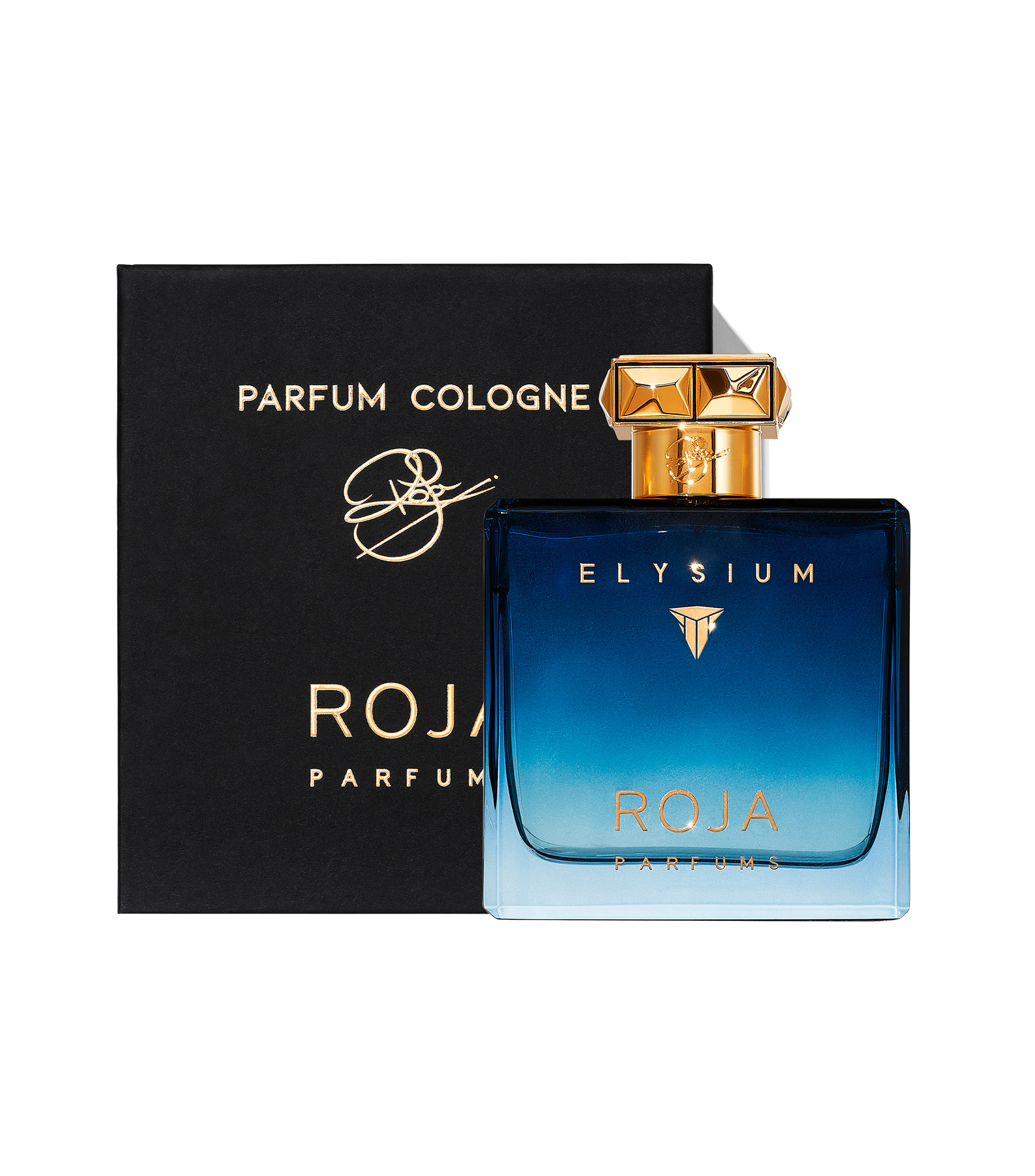 ROJ ELYSIUM POUR HOMME EDP 100ML