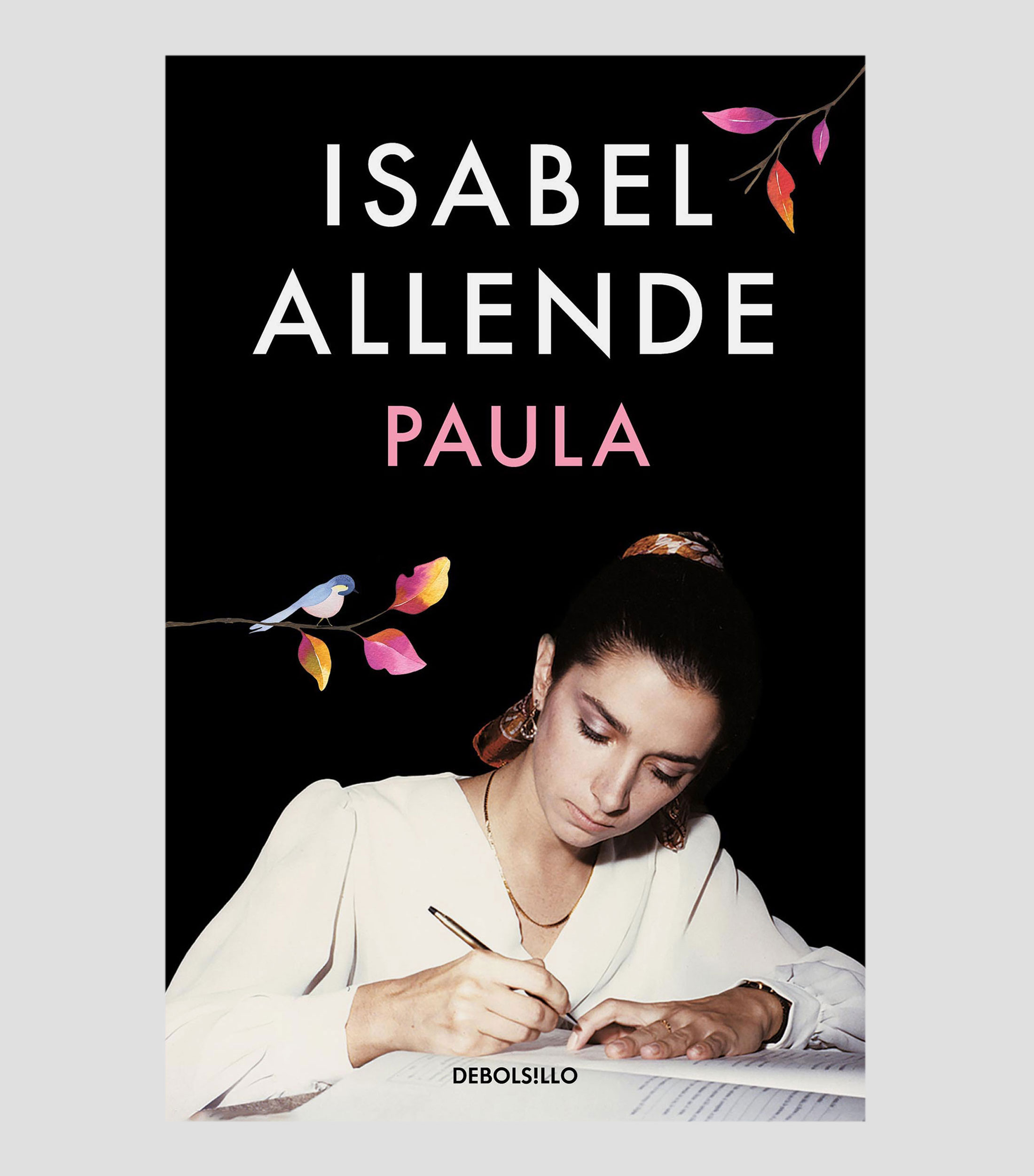 NovelaPaula, Allende, Isabel