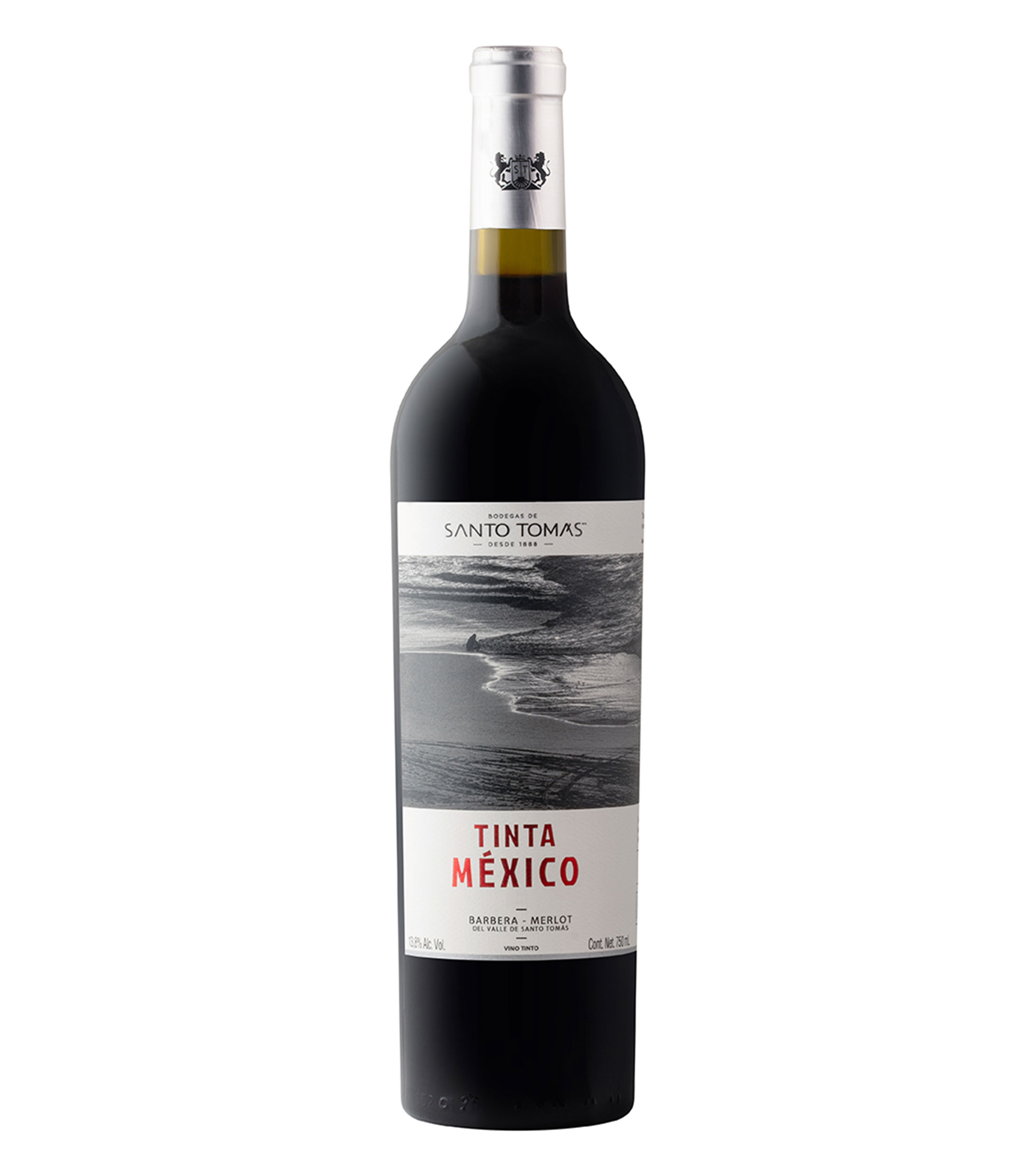 Vino Tinto Barbera, Merlot del Valle de Santo Tomás, 750 ml