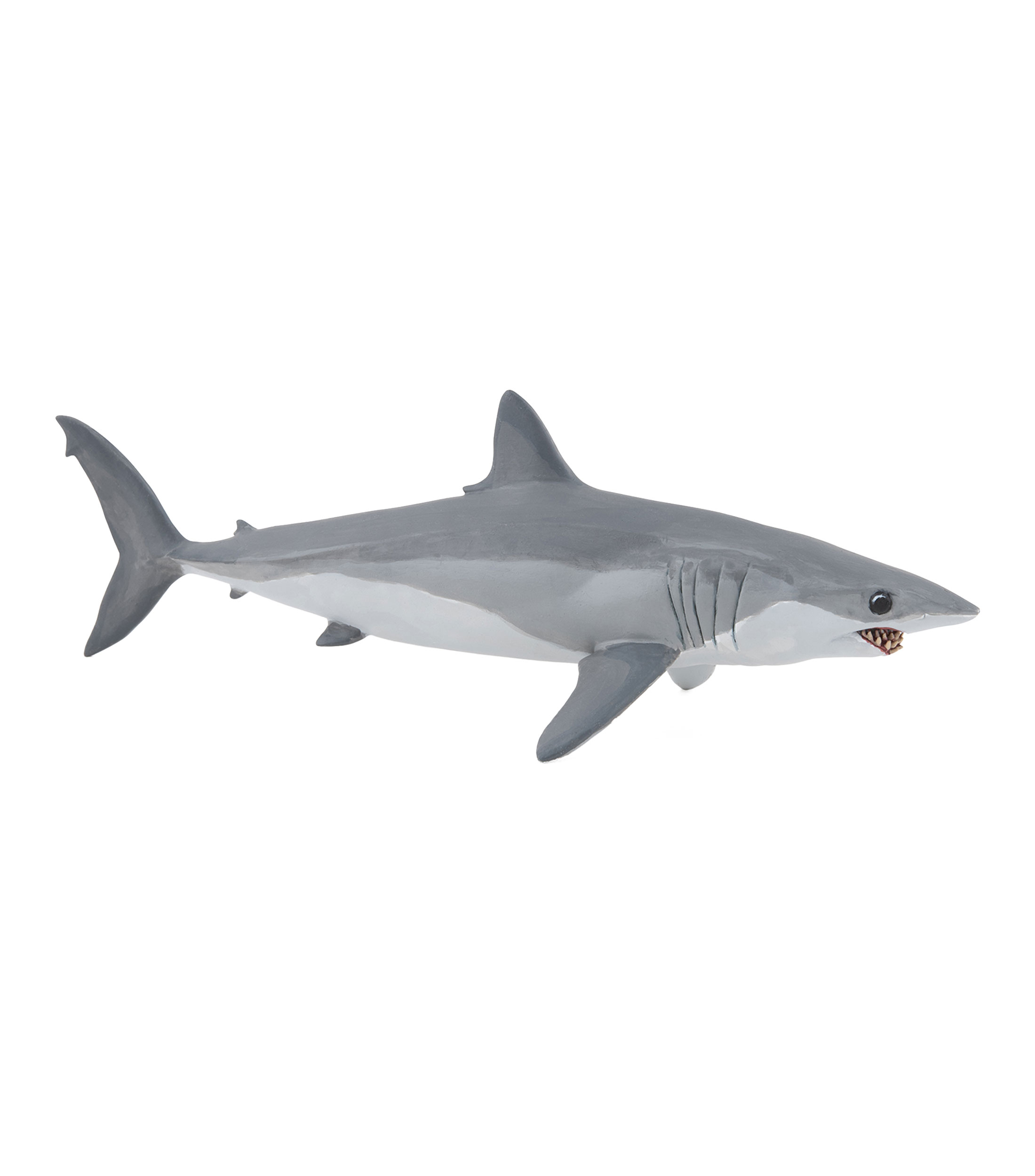Tiburón Mako