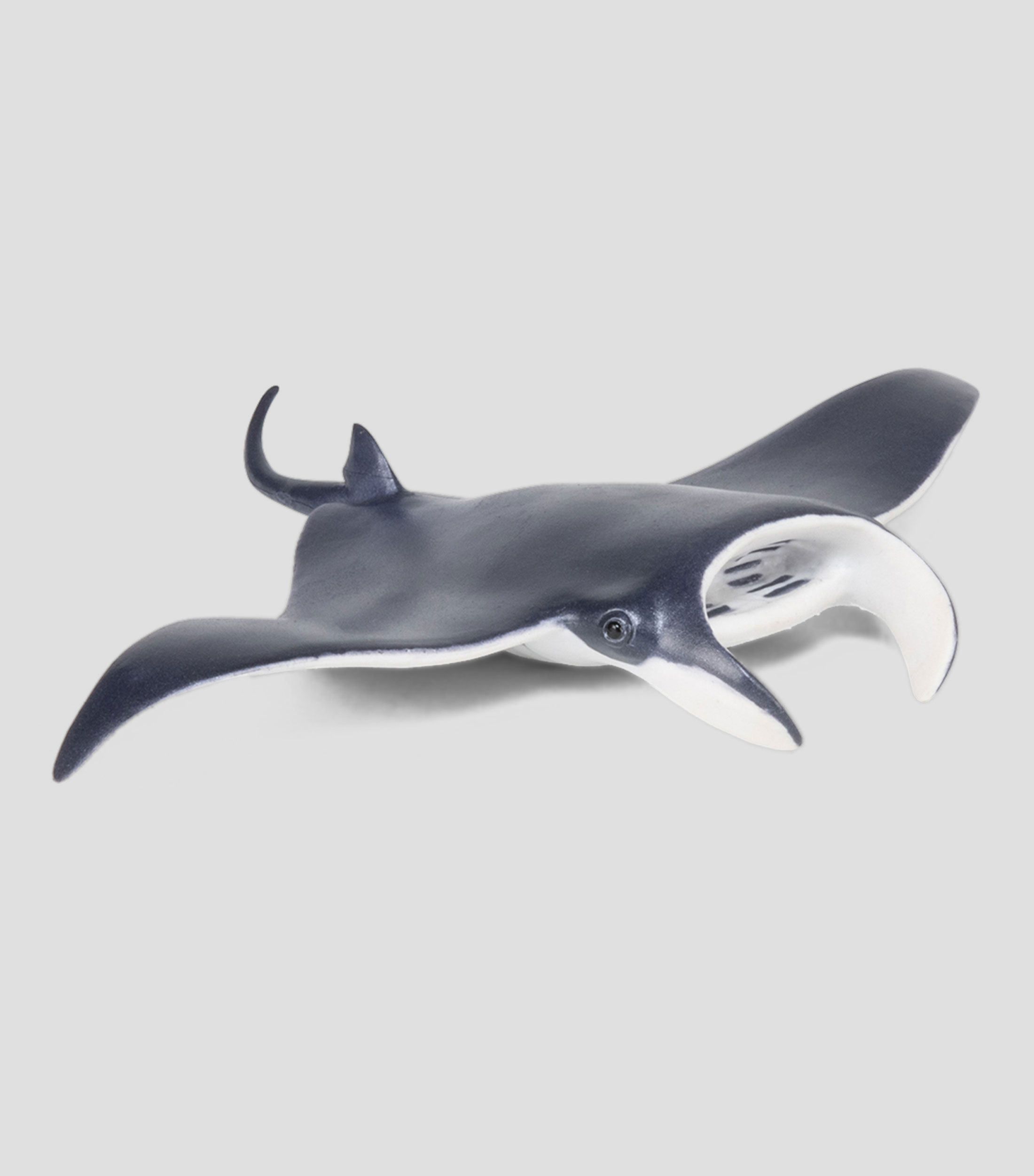Figura de Mantarraya
