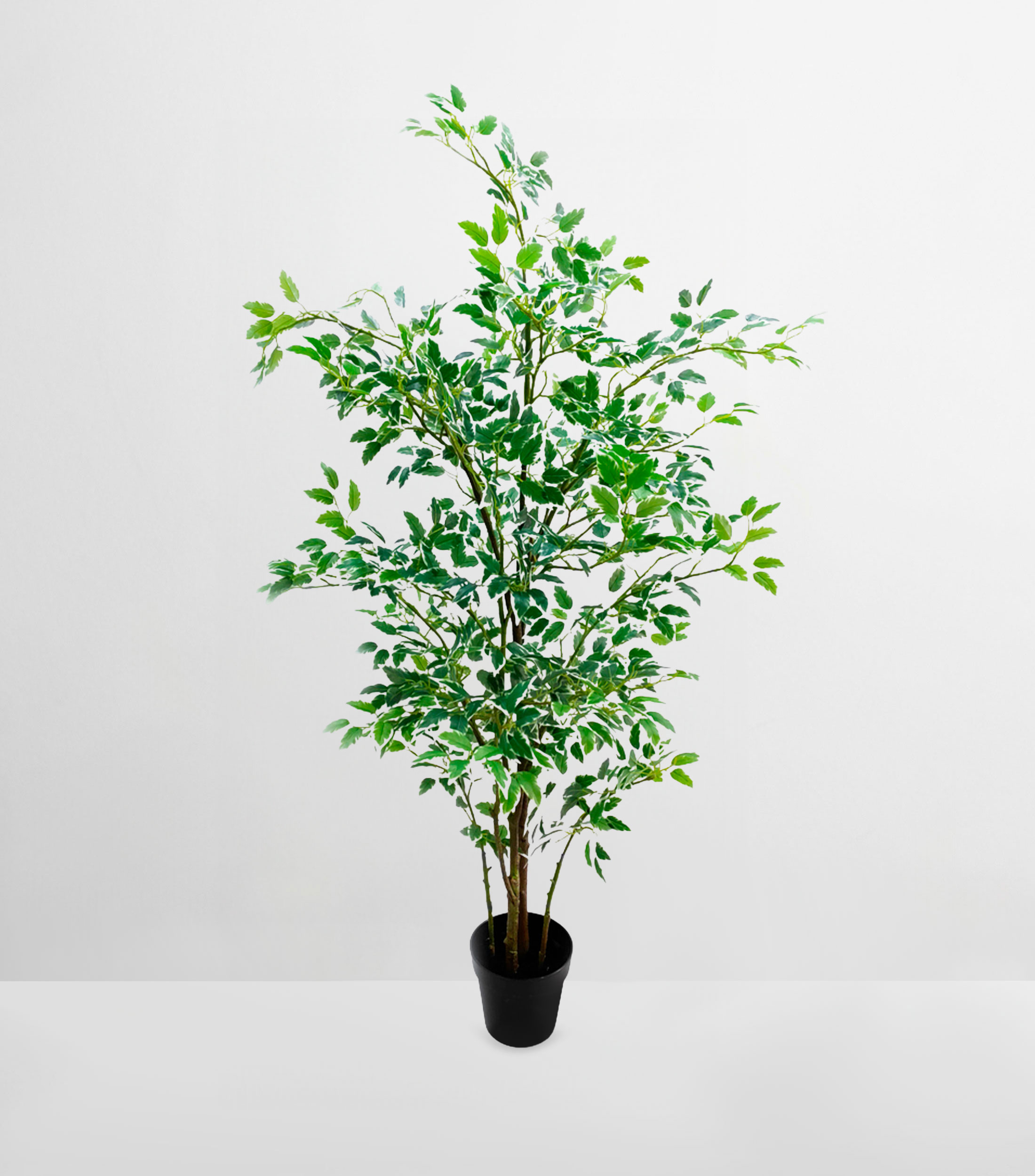 Árbol decorativo de Ficus chico artificial