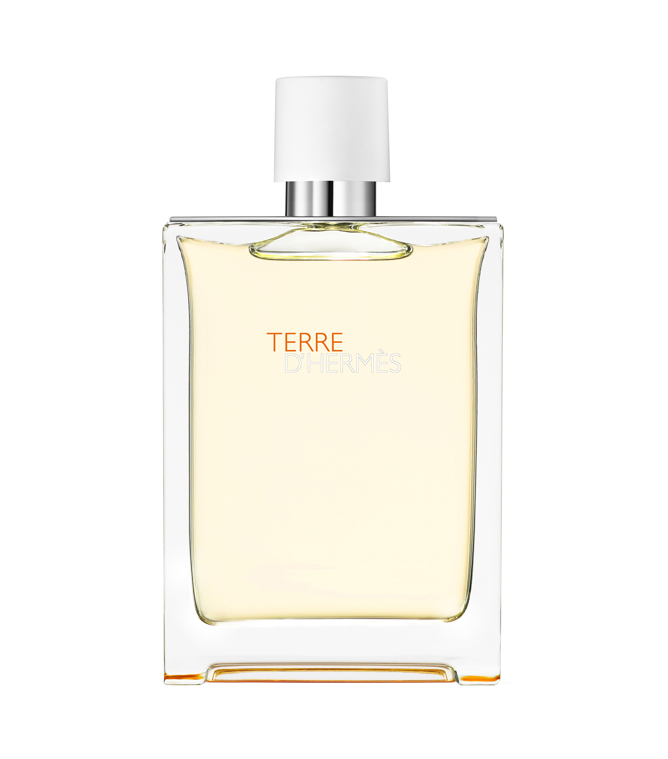 Hermès Perfume, Terre d'Hermès Eau de Toilette, 100 ml Hombre - El Palacio  de Hierro