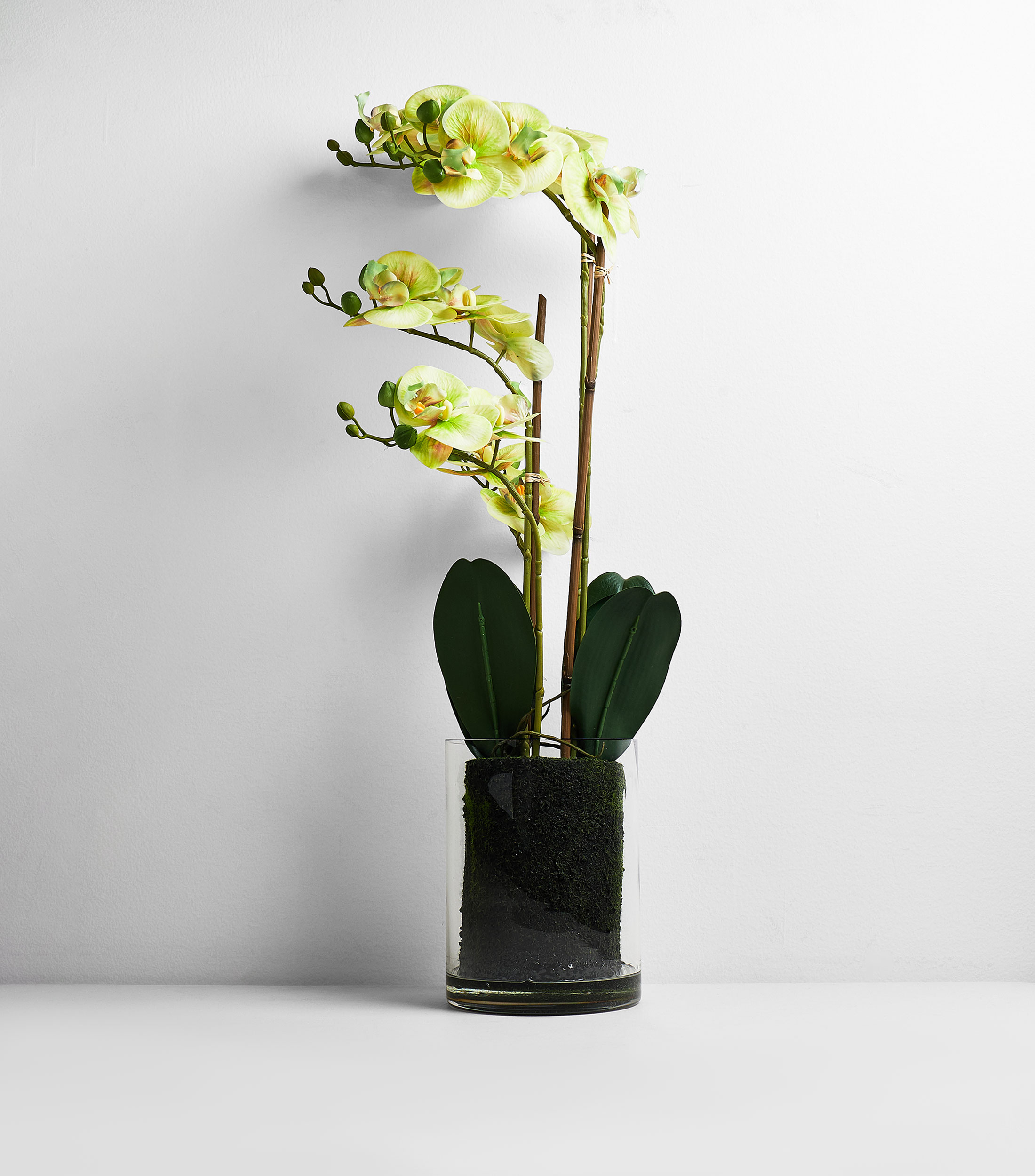 Orquídea Phalaepnosis decorativa en maceta, artificial