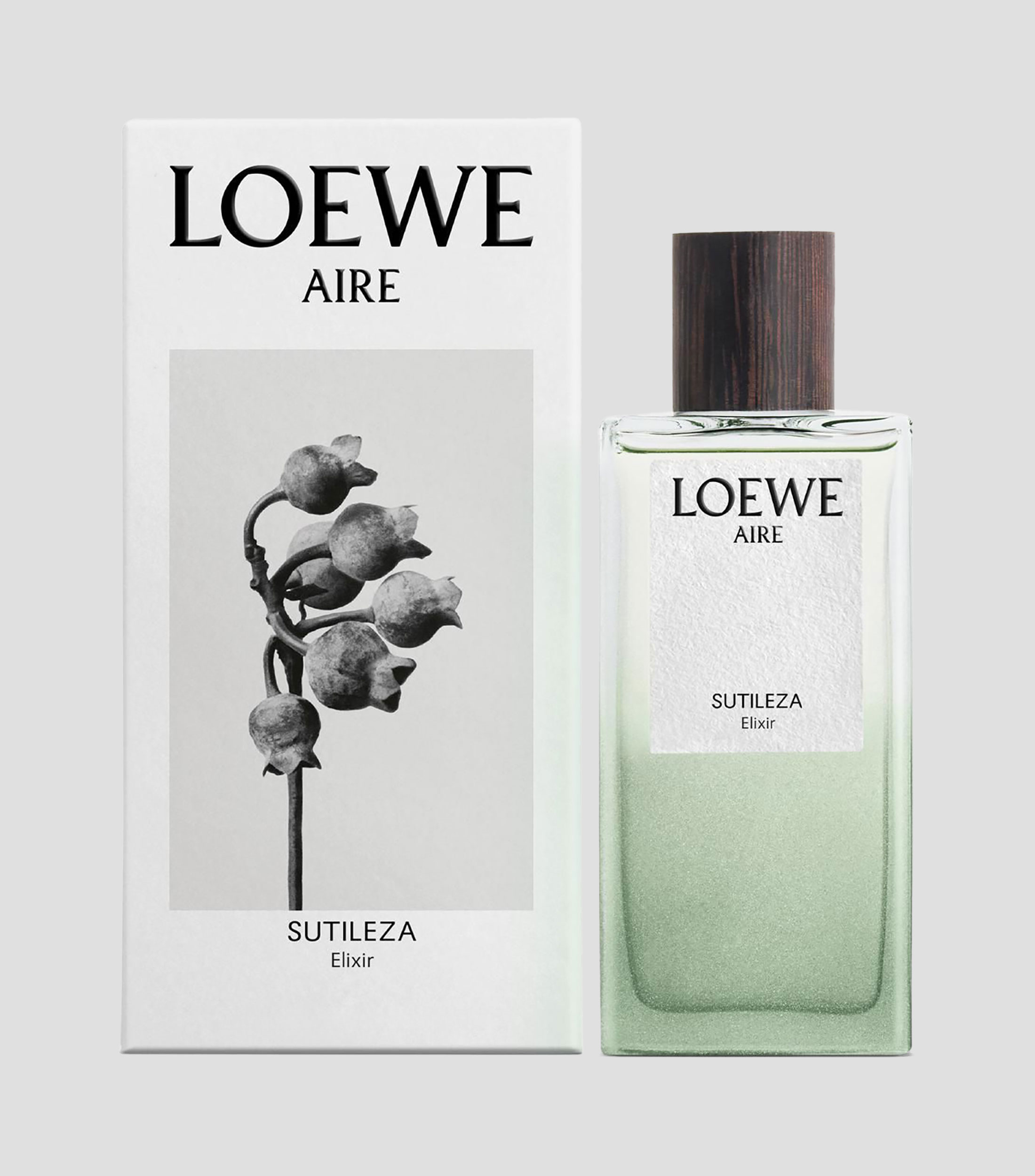 Perfume Aire Sutileza Elixir Eau de Parfum, 100 ml para Mujer