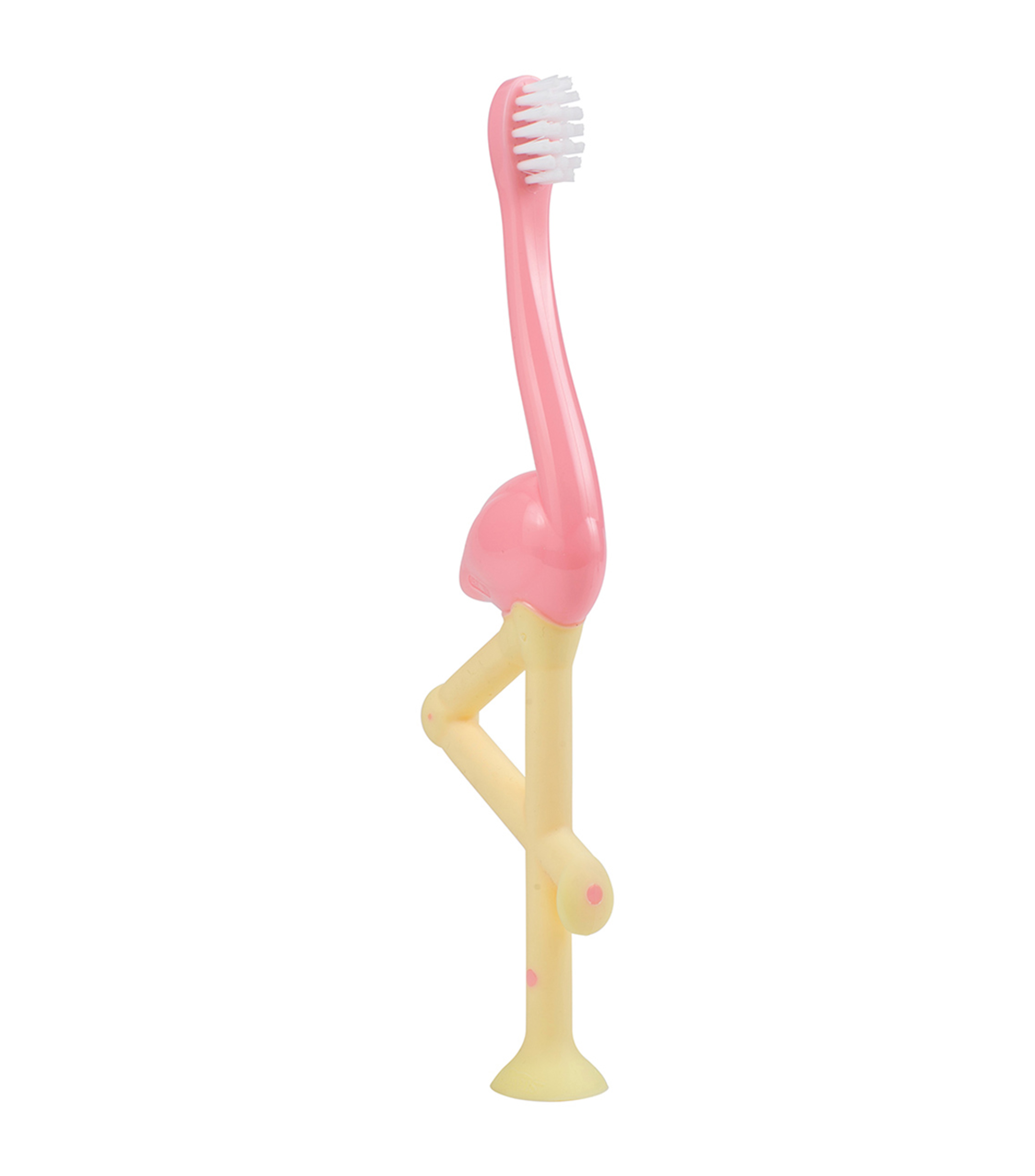 Cepillo Dental