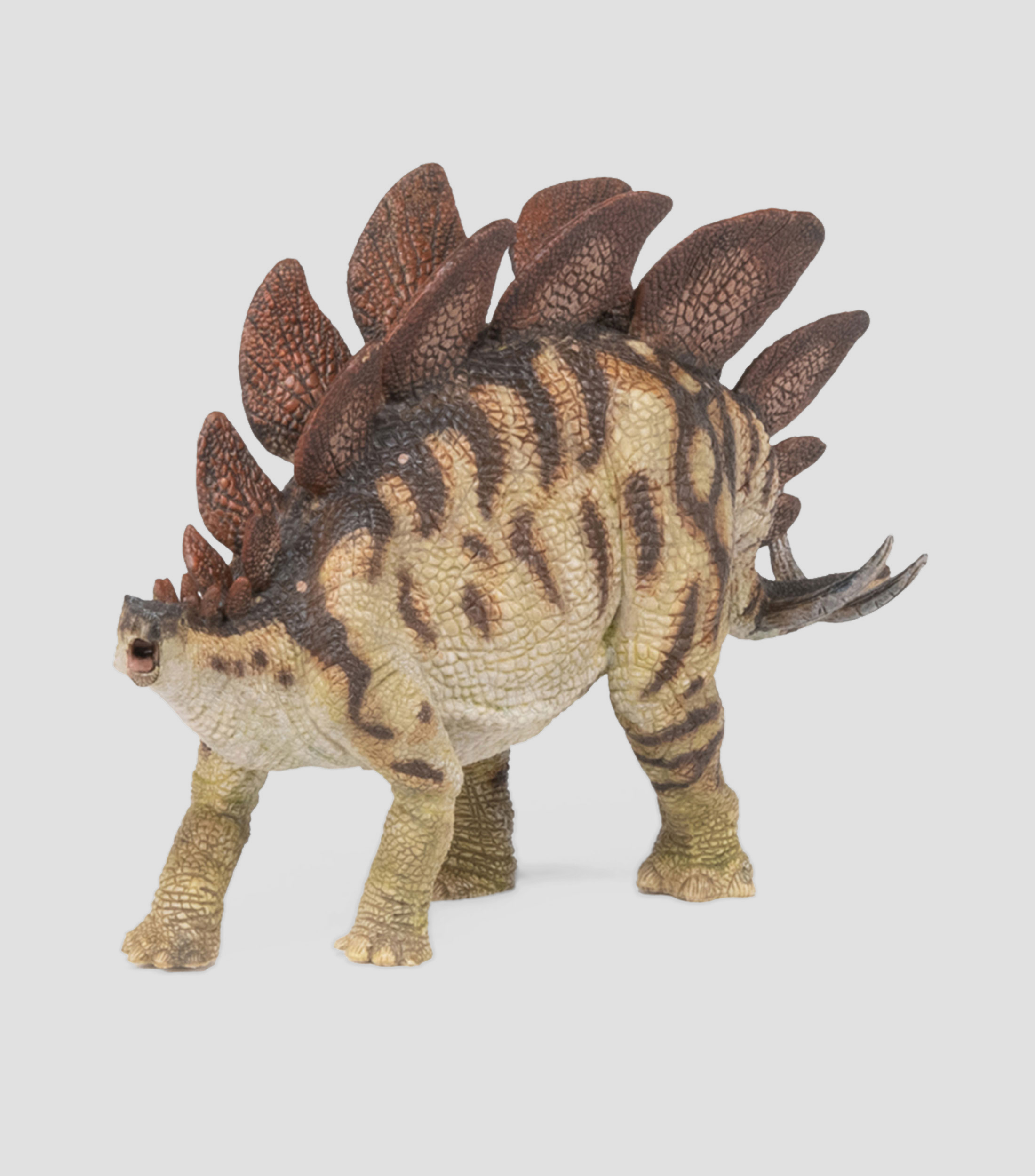 Stegosaurus