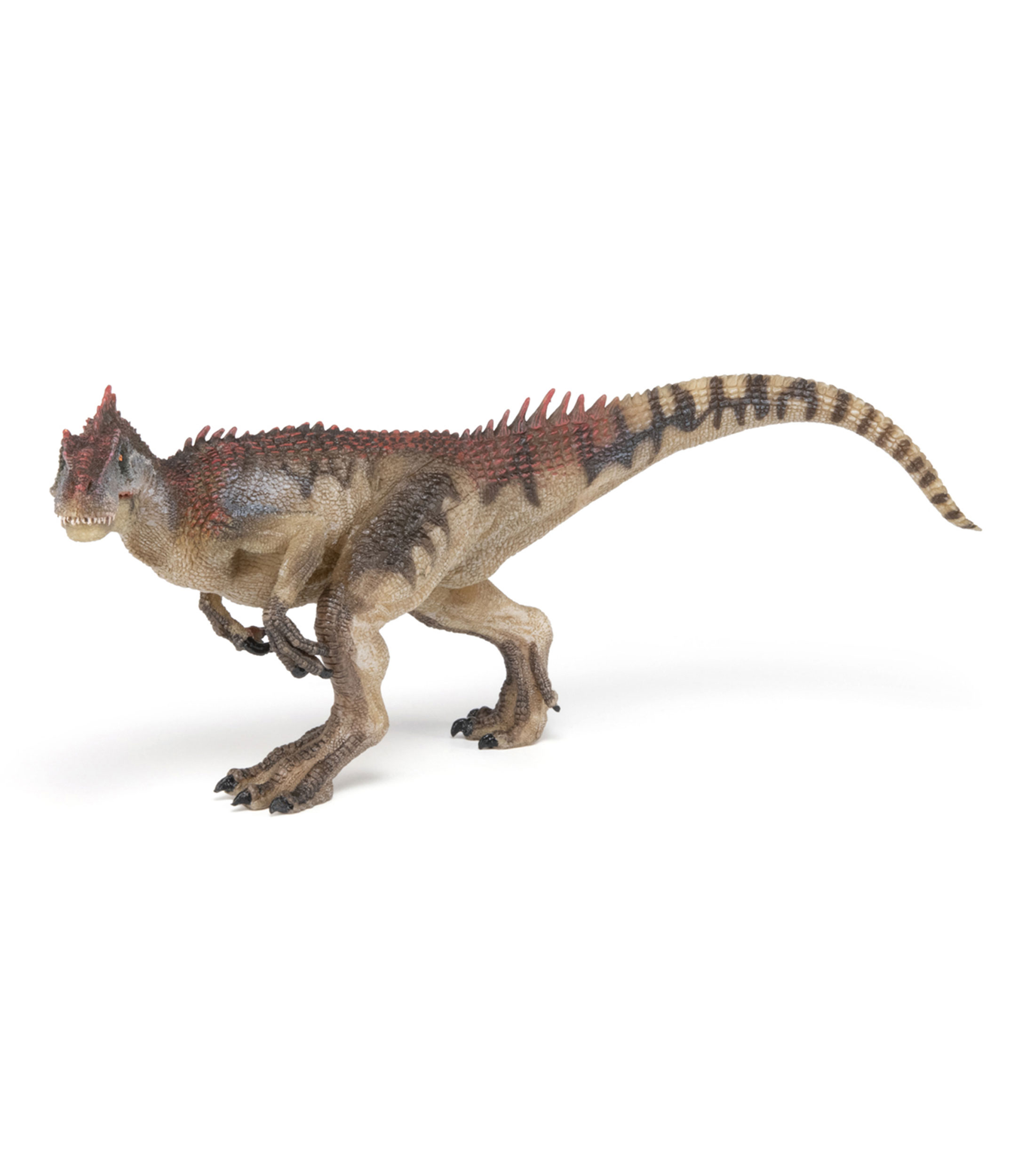 Allosaurus