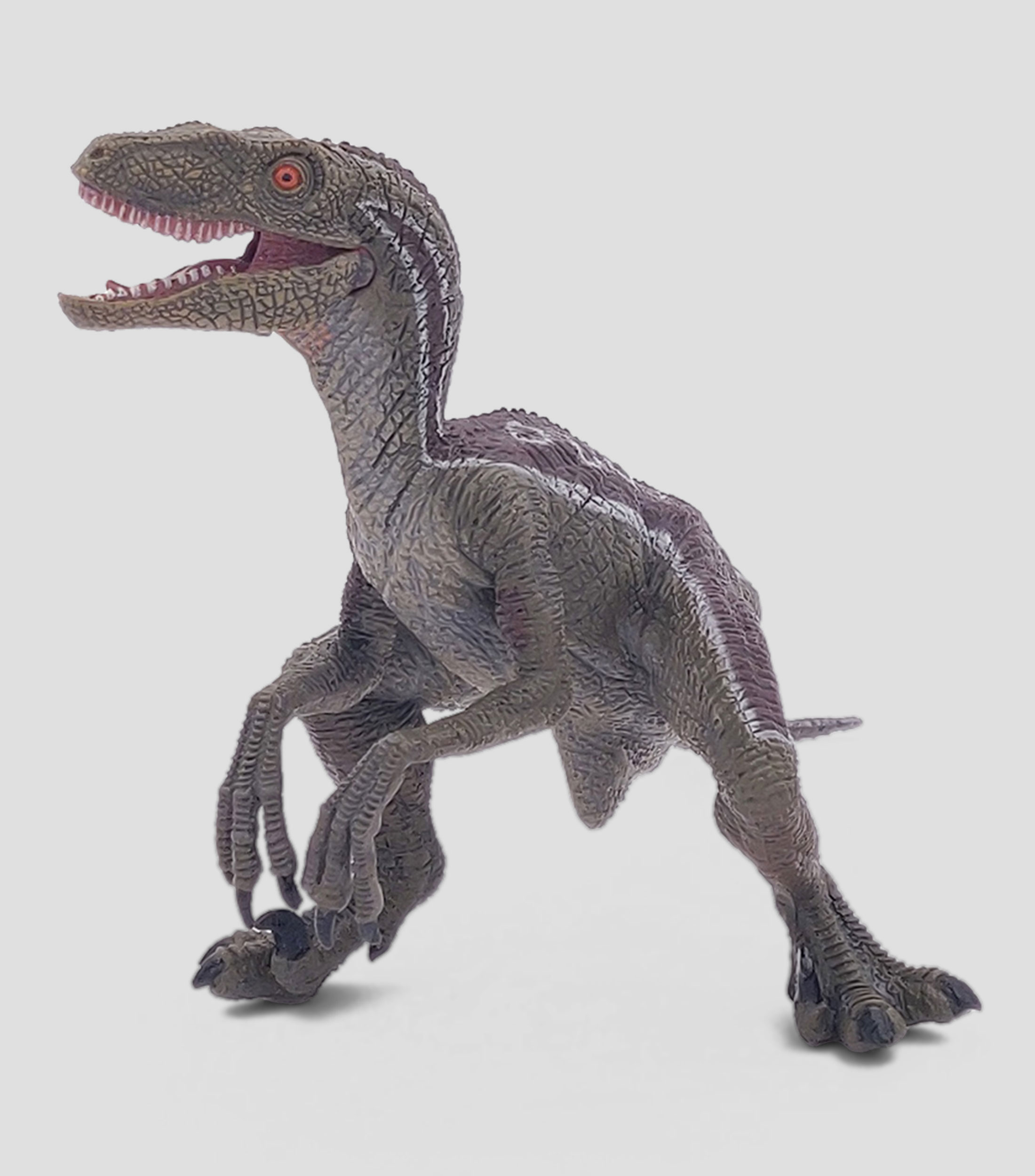 Velociraptor