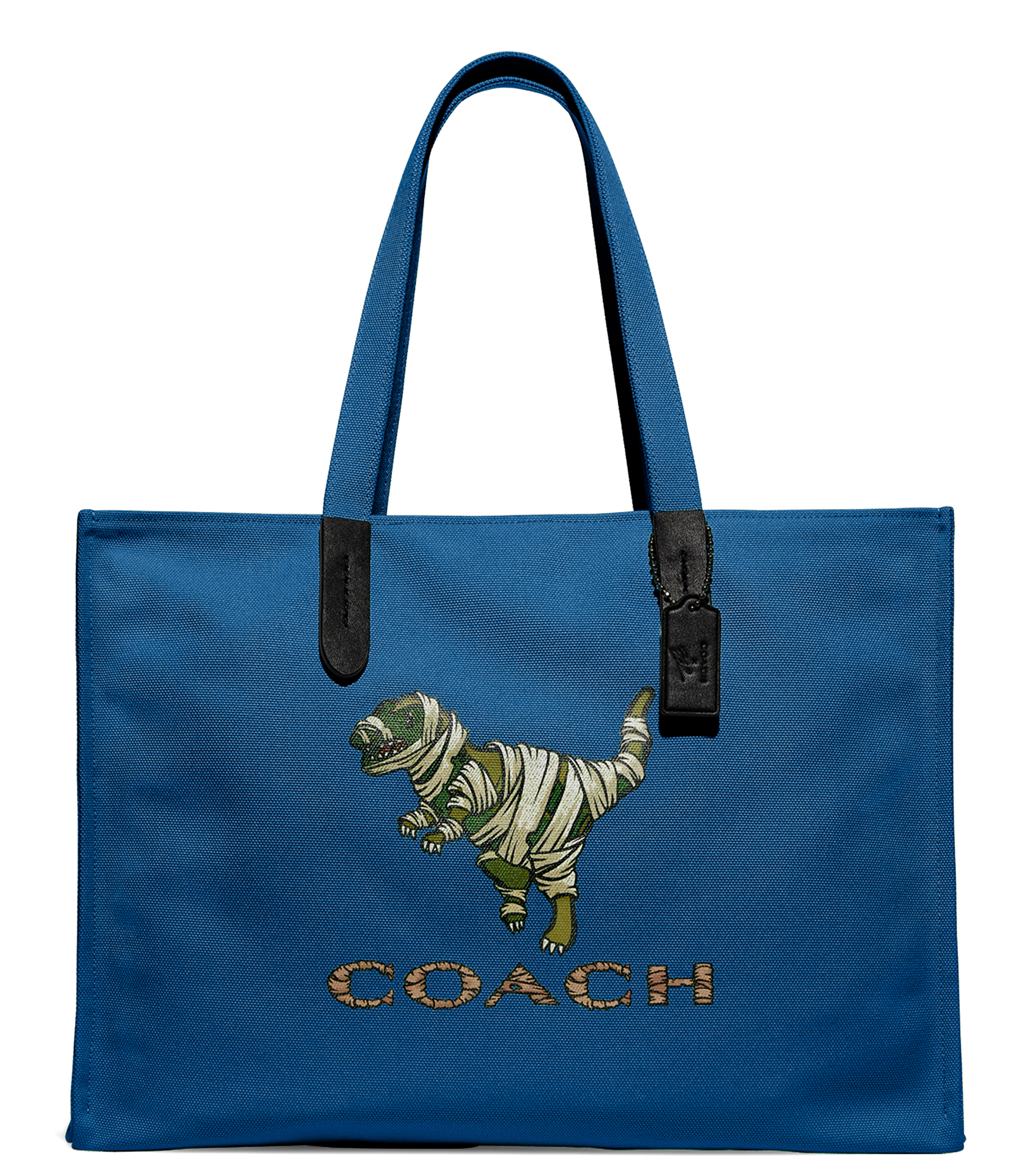 Palacio de sales hierro bolsas coach