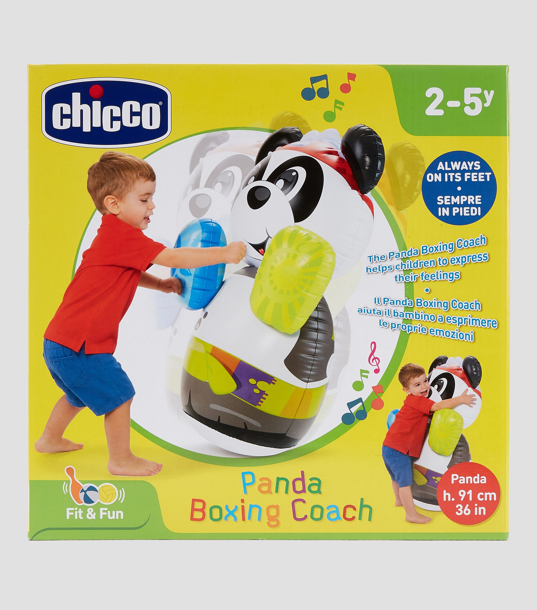 Panda Boxing