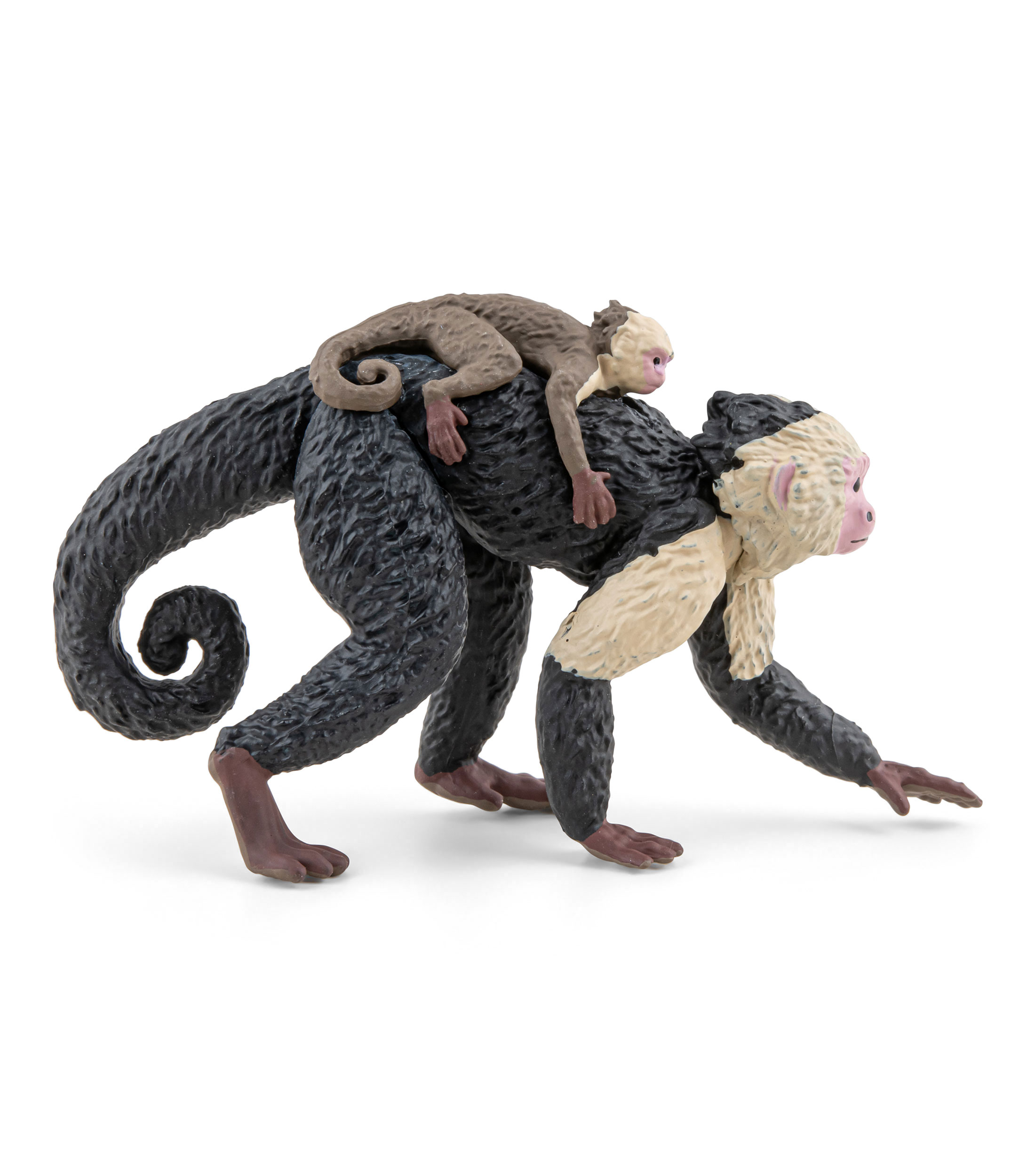Figura de Mono Capuchino