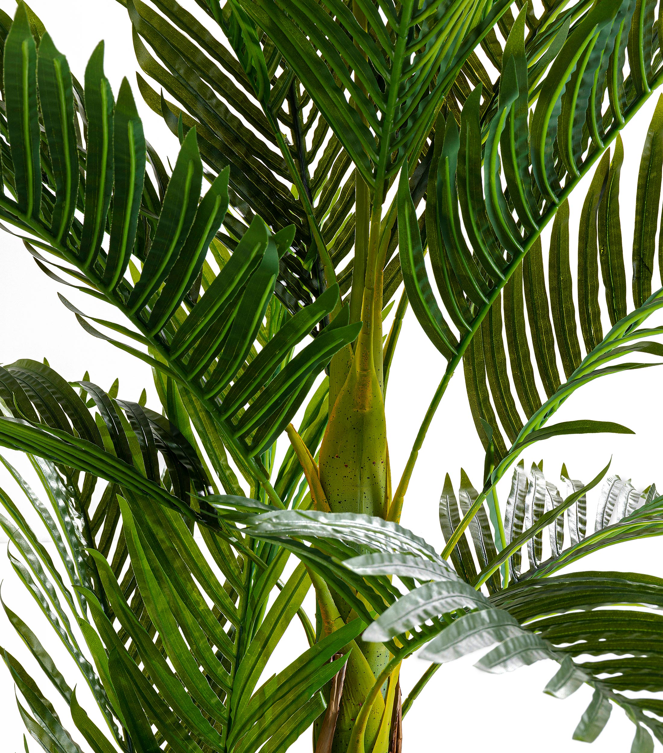 Planta decorativa Palm Tree