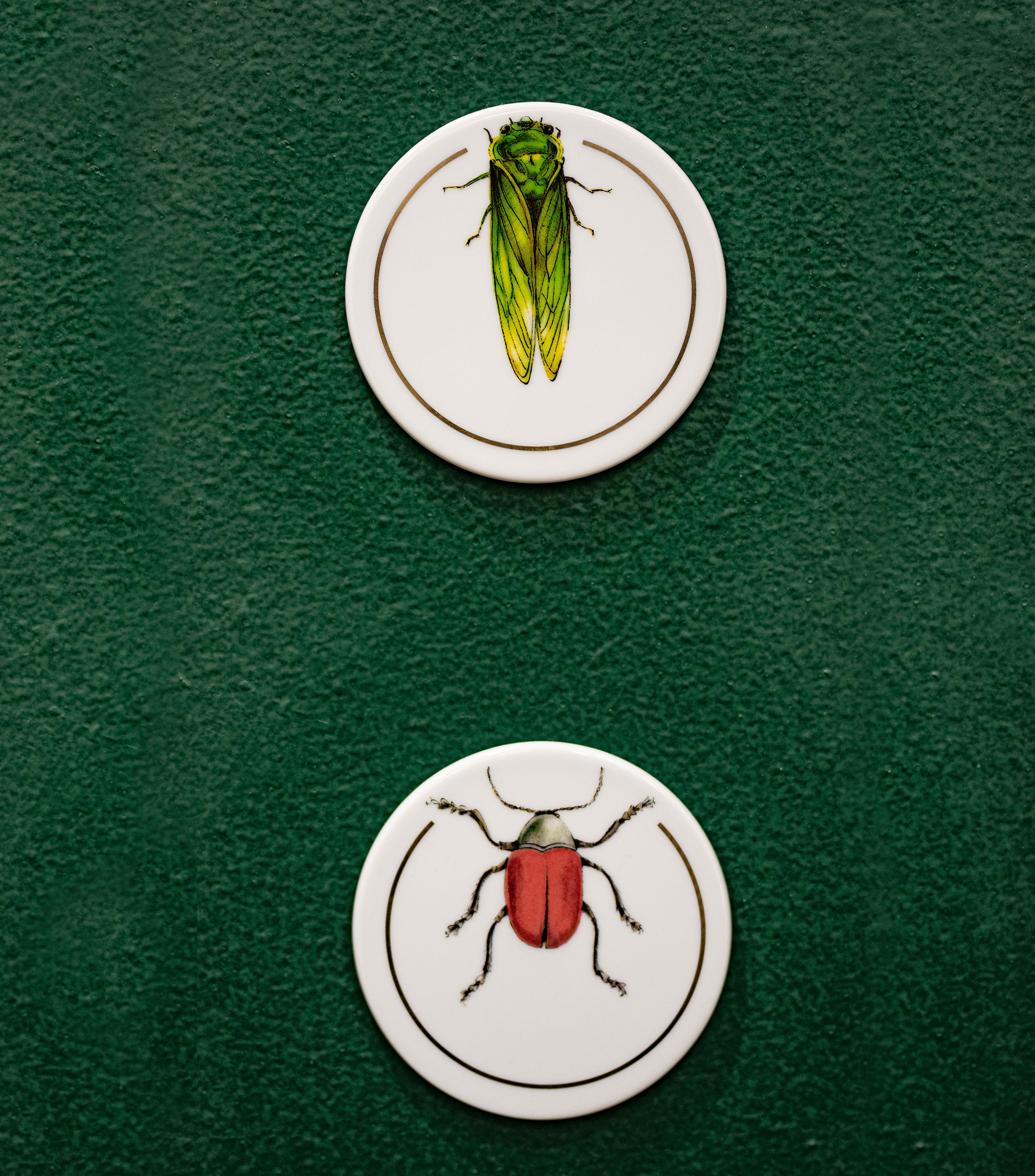Conjunto 6 Bases Para Vasos Insectos