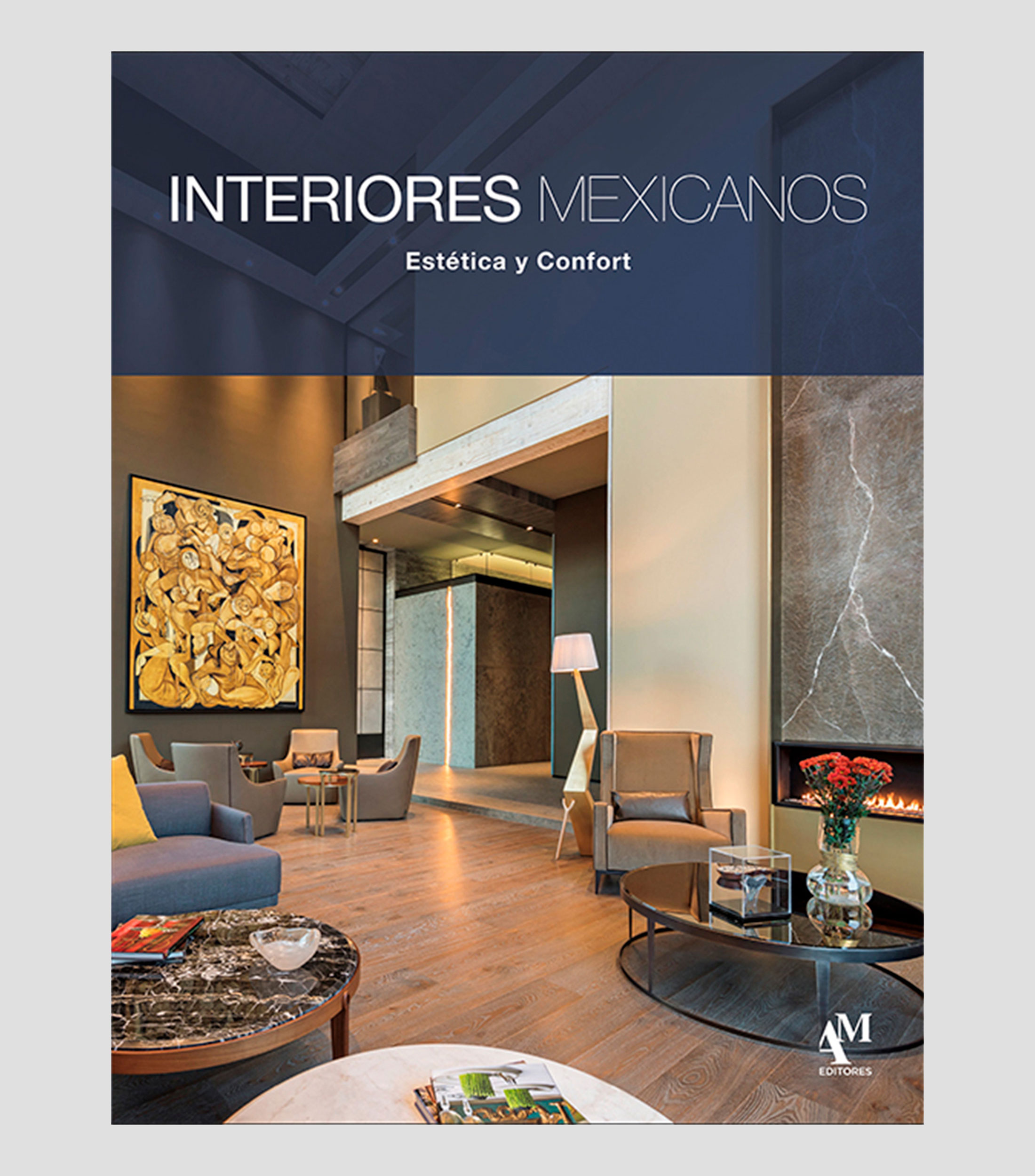Arte Y RecreaciónInteriores Mexicanos XVIII Estética y Confort, Omar Fuentes Elizondo
