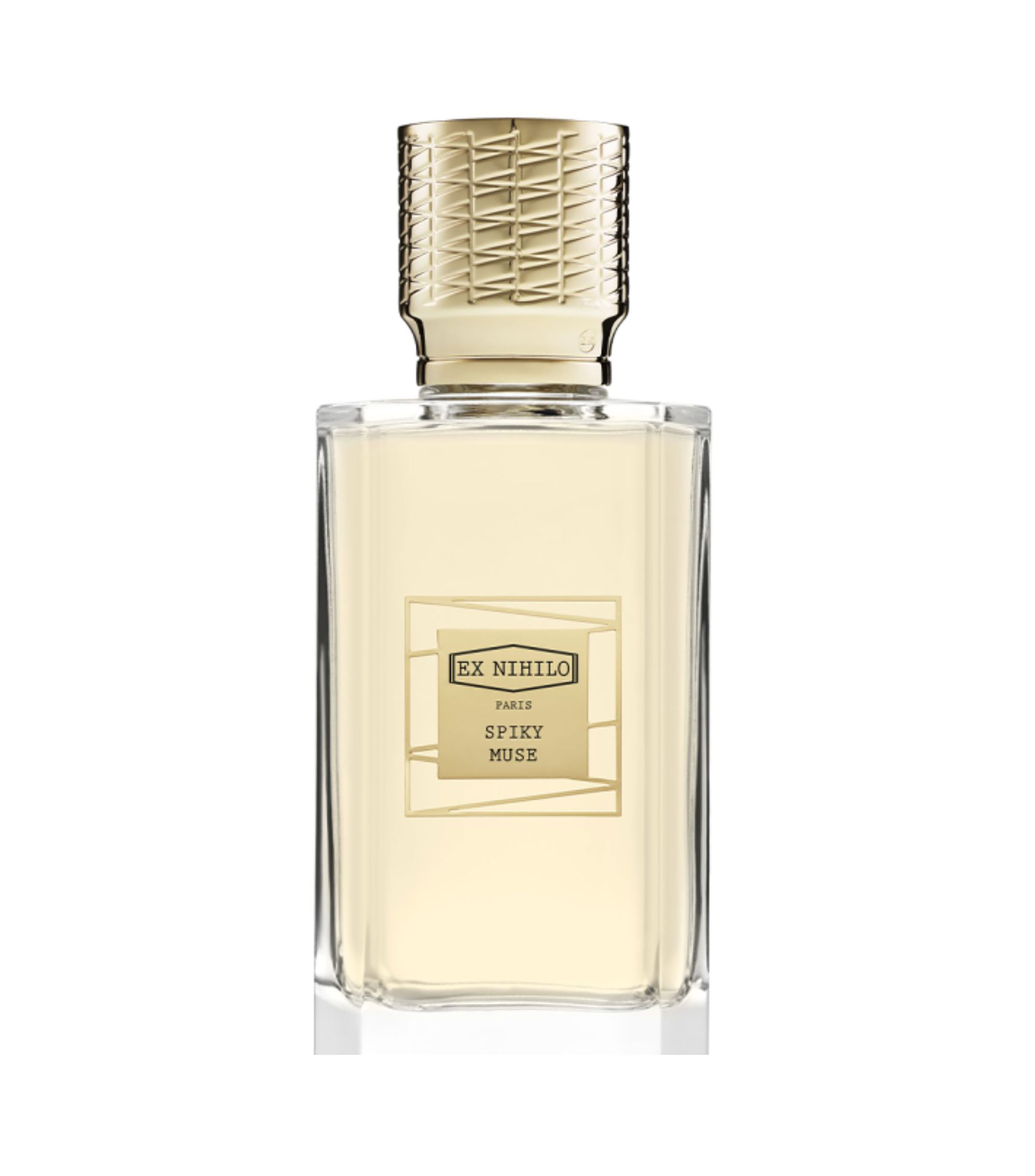 Perfume Spiky Muse, Eau de Parfum 100 ml Unisex