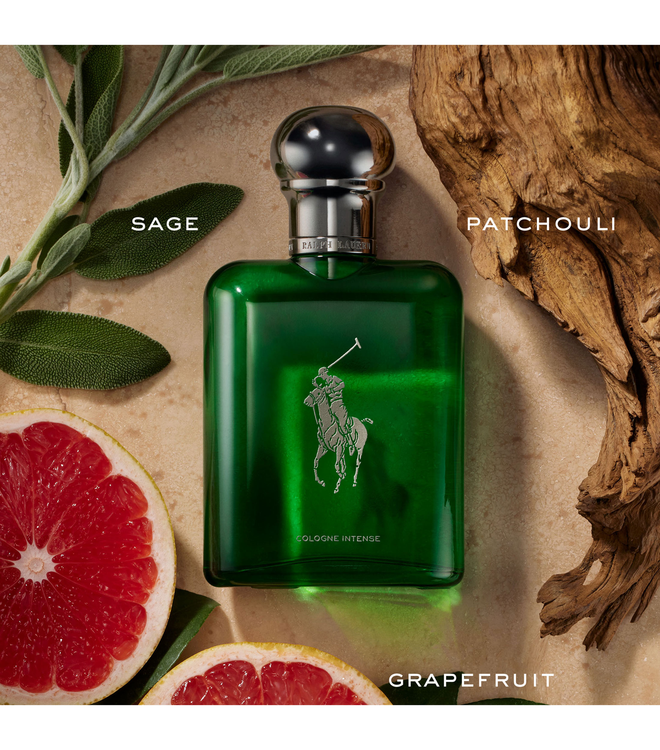 Perfume Polo Cologne Intense, Eau de Parfum 125 ml para Hombre