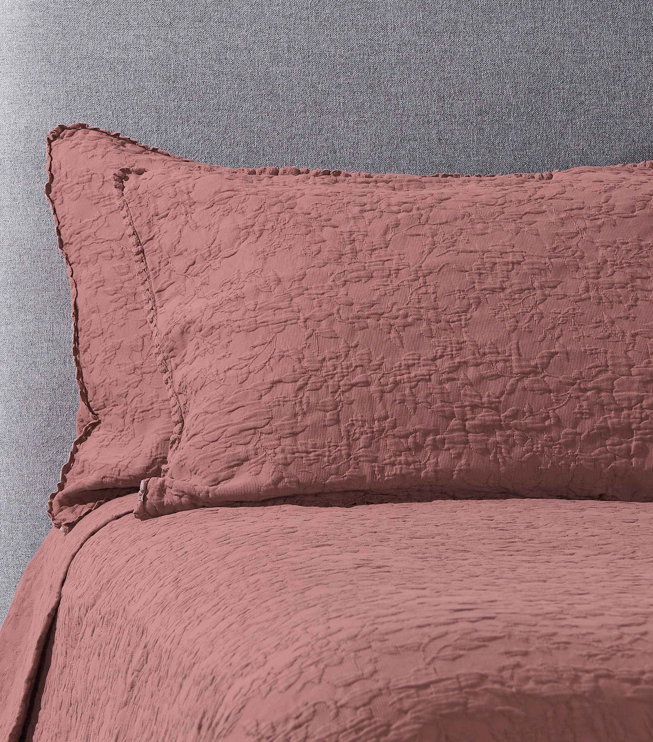 Funda para almohada Estándar en algodón púrpura