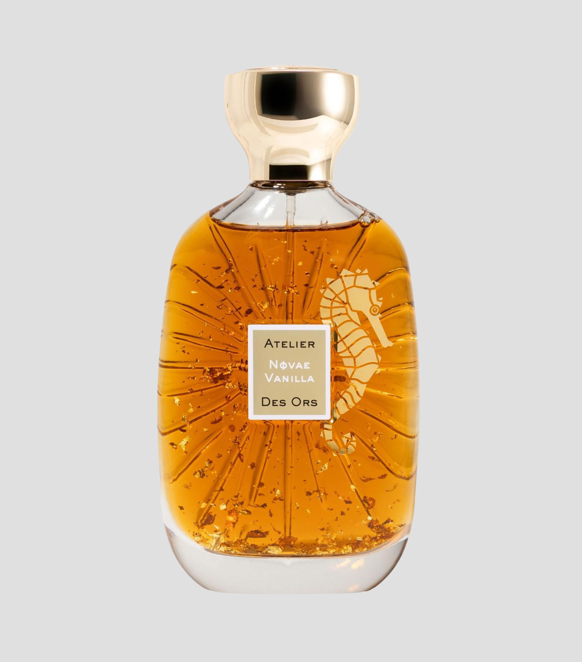 Perfume Novae Vanilla, Eau de Parfum 100 ml Unisex