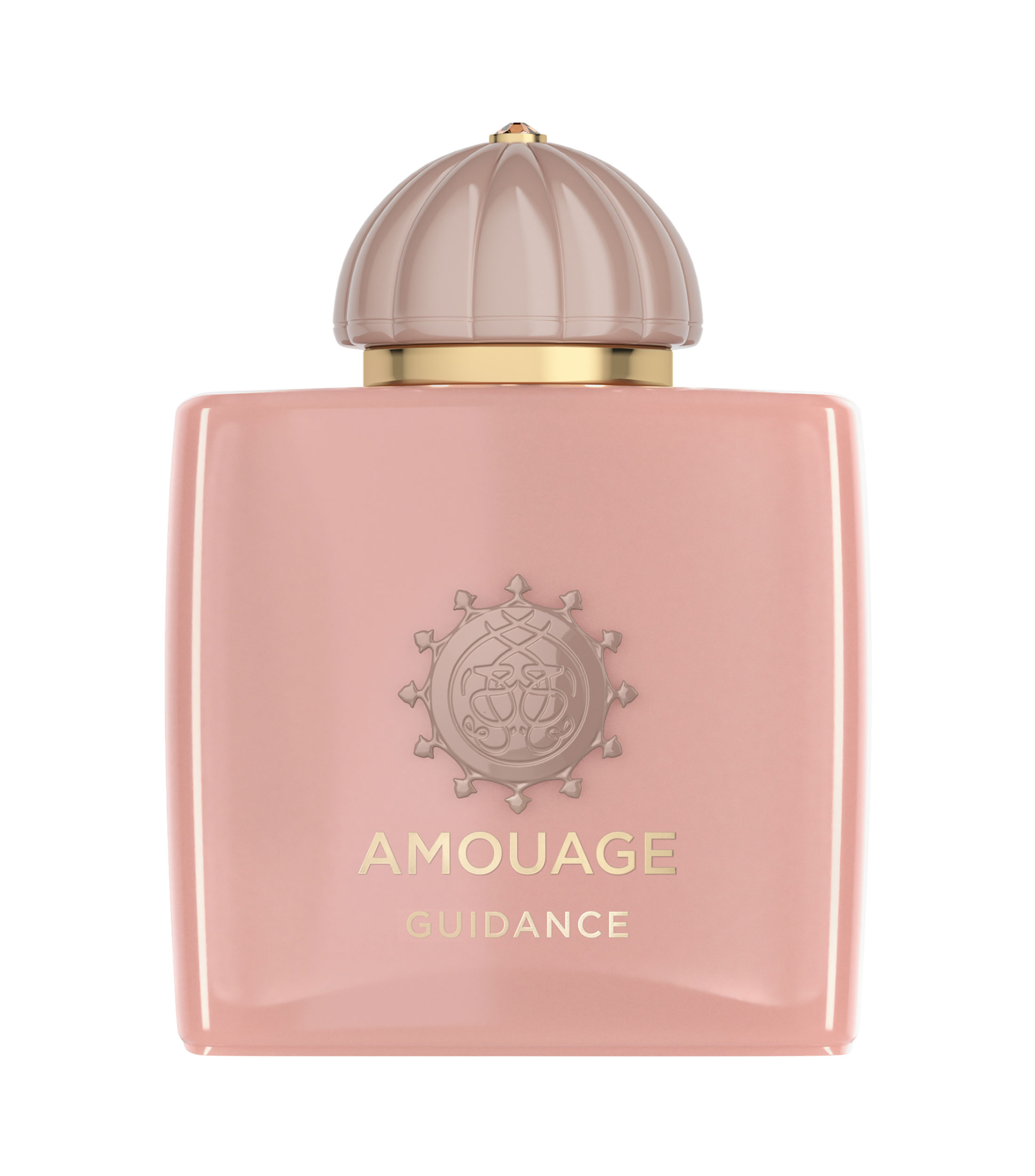Amouage Perfume Guidance Eau de Parfum, 100 ml Unisex - El Palacio de