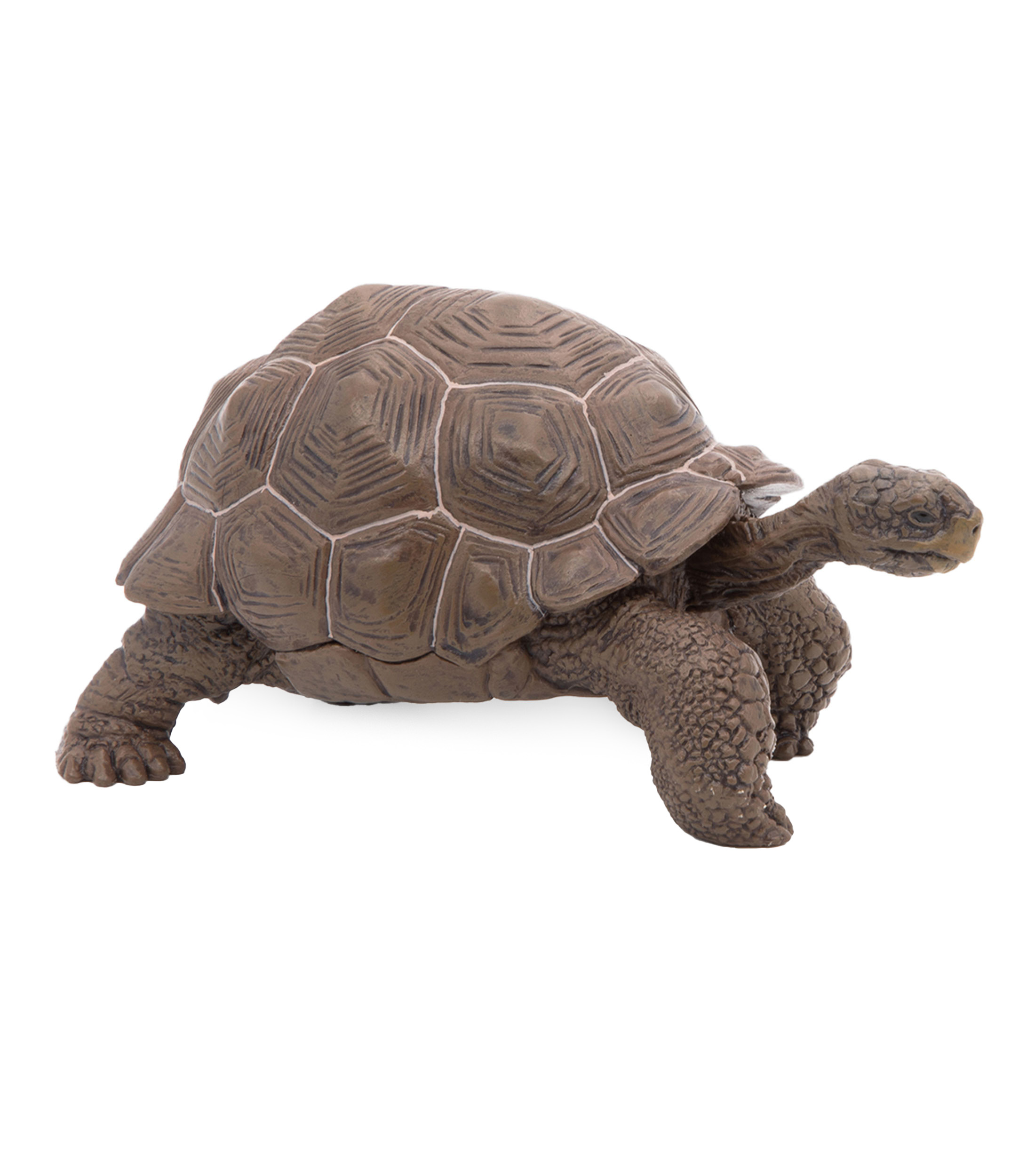 Figura Tortuga galápagos