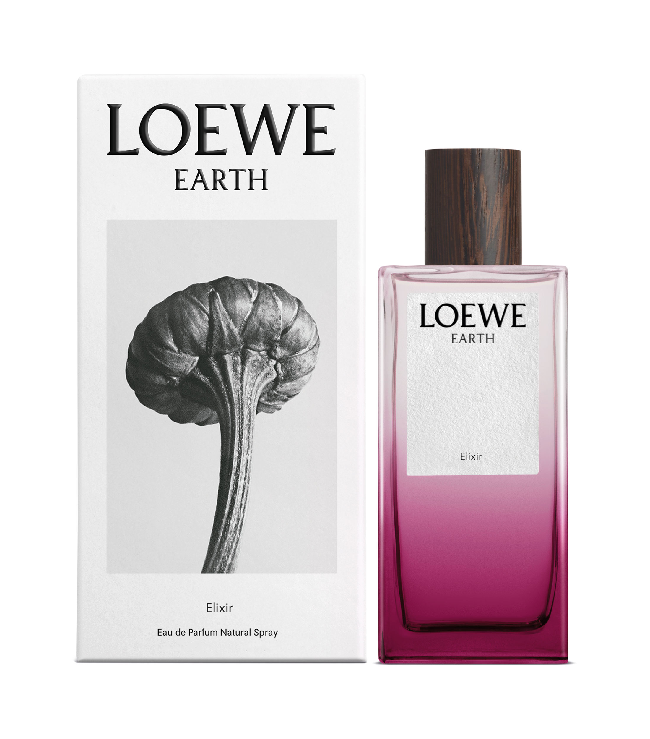 Perfume Earth Elixir, Eau de Parfum 100 ml Unisex
